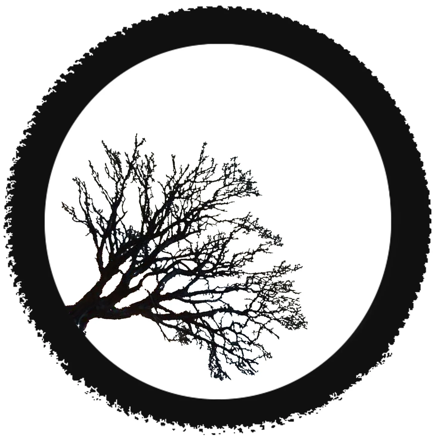 LifeAfterBikes