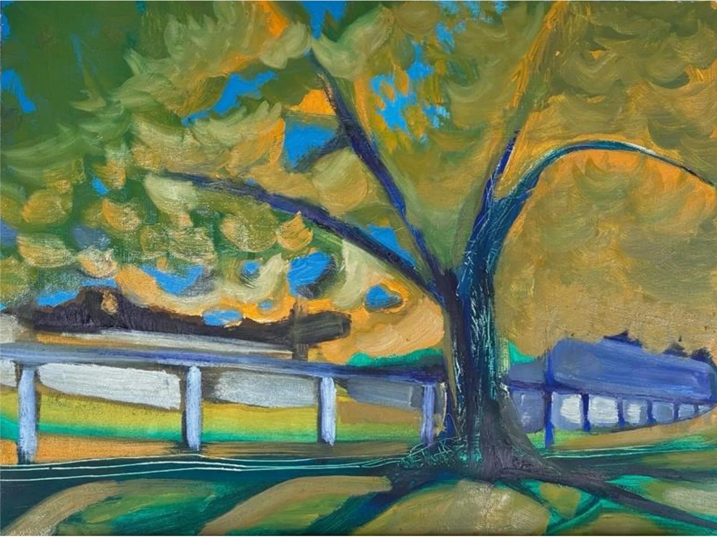 tree by the park.jpg