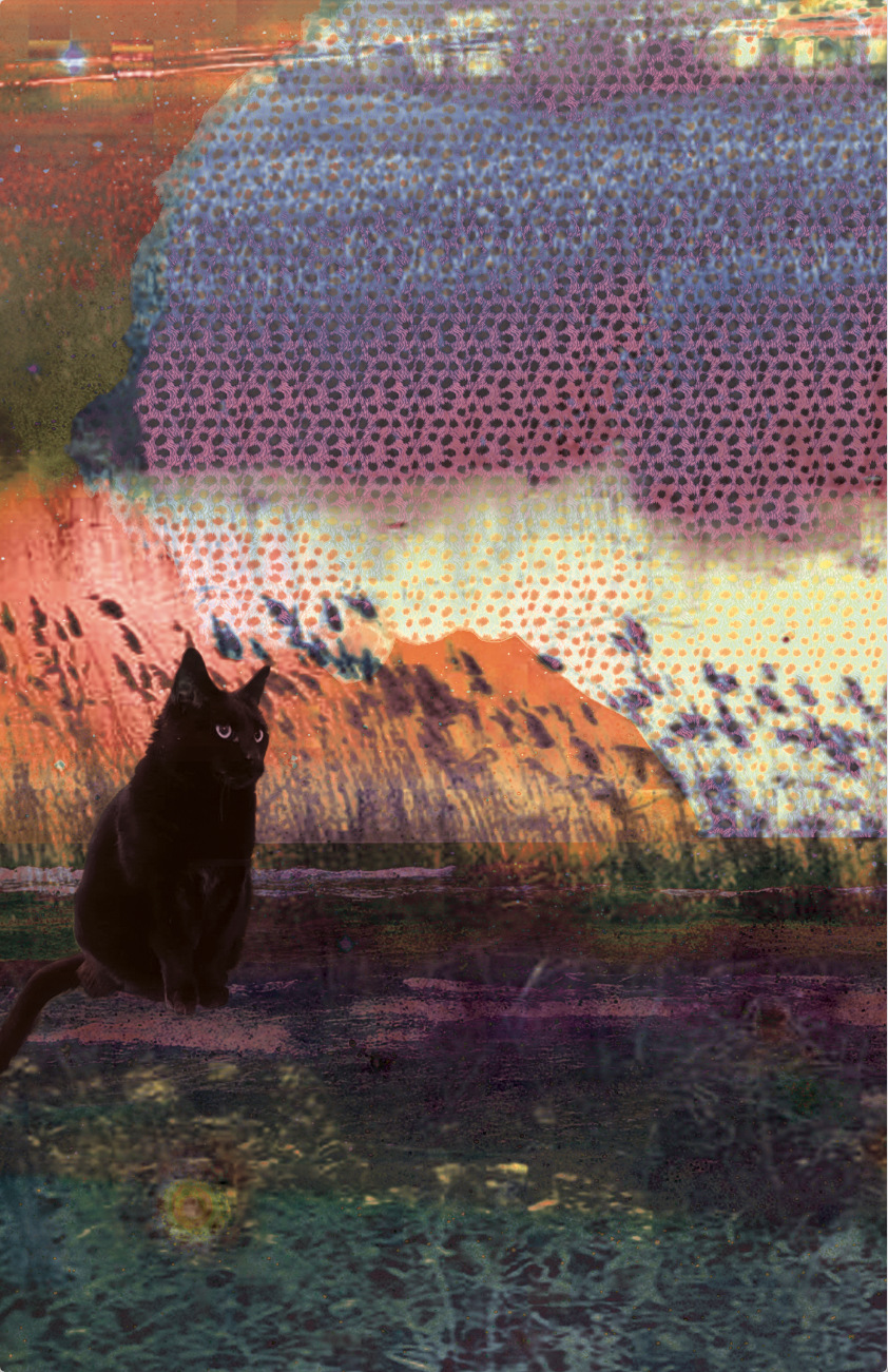 Screenshot 2026-03-13 at 3.03.39 PM.png