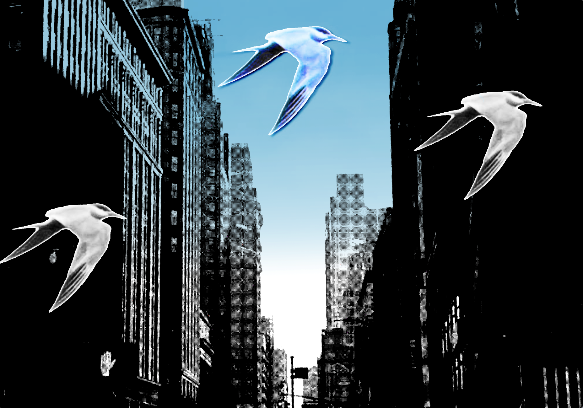 Screenshot 2026-03-13 at 11.35.18 AM.png