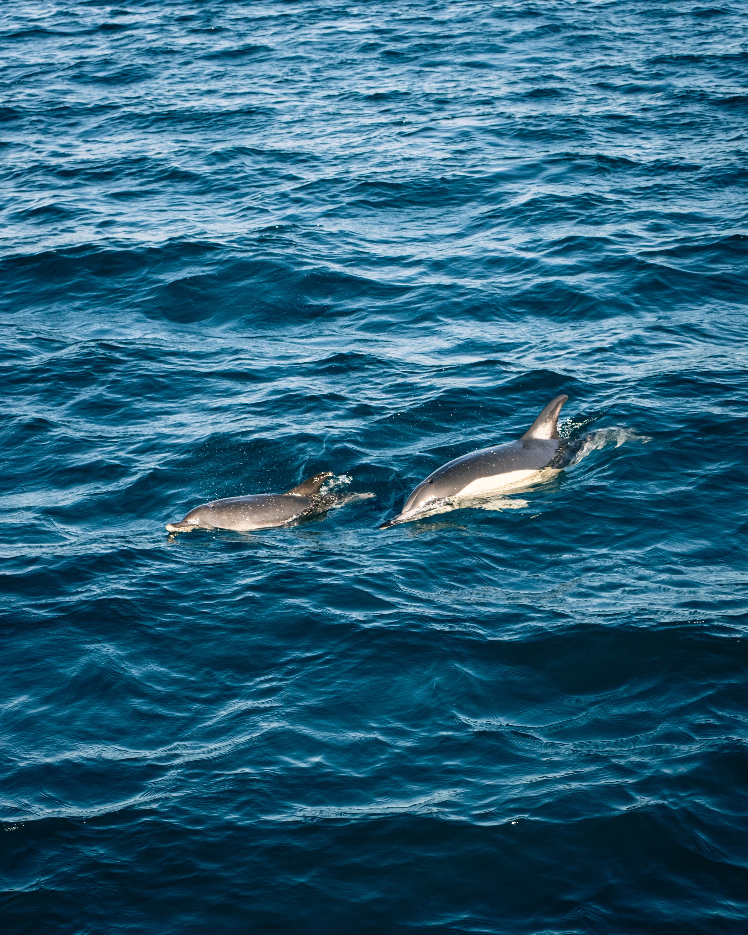 Gibralta, Great Britian 