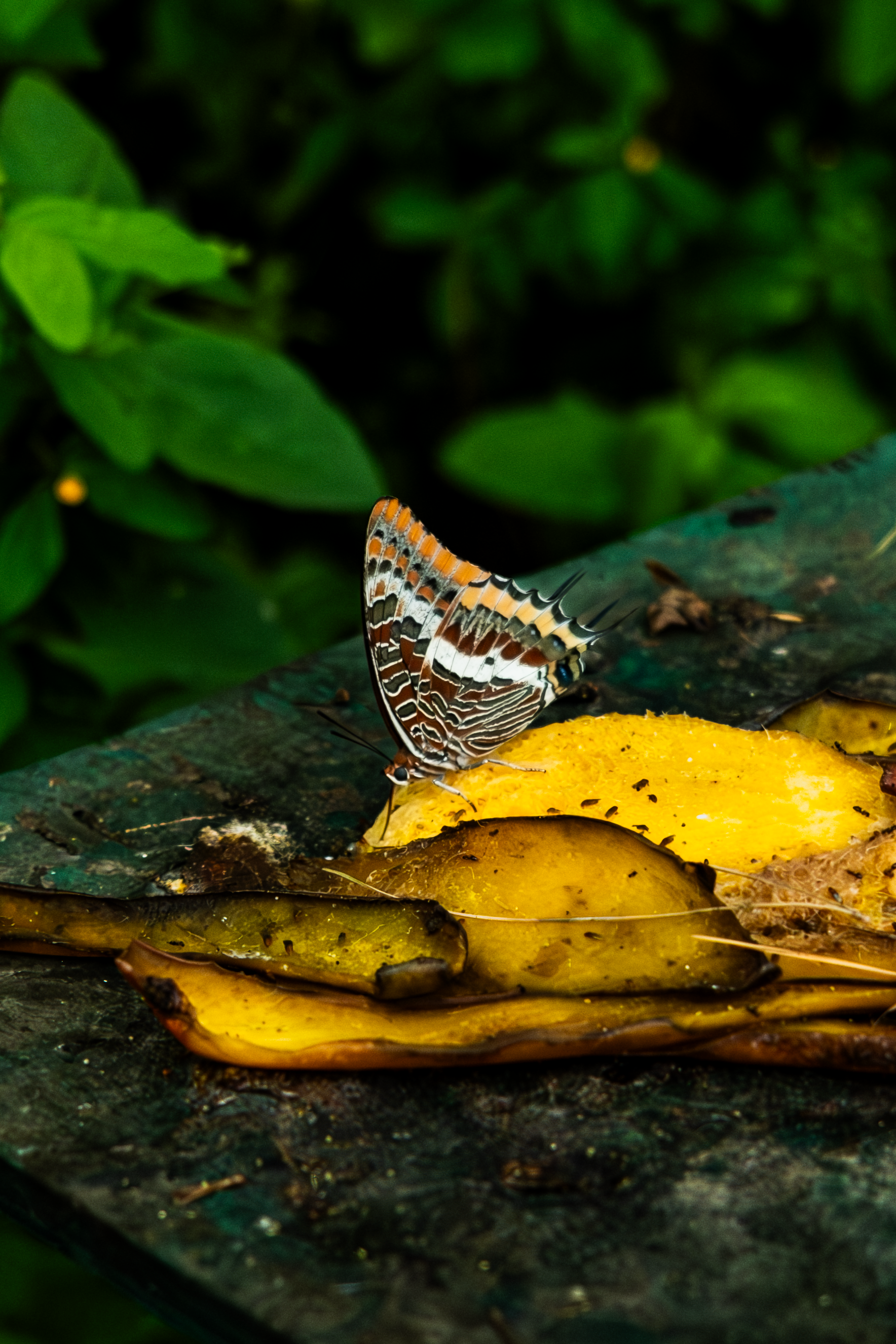 Gibralta, Great Britian 