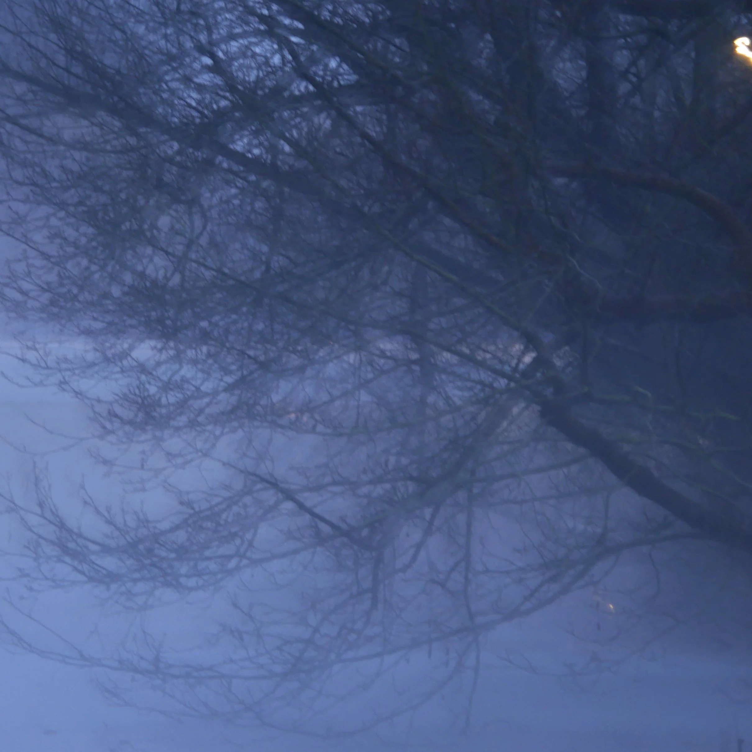 Day of frost - North Holland