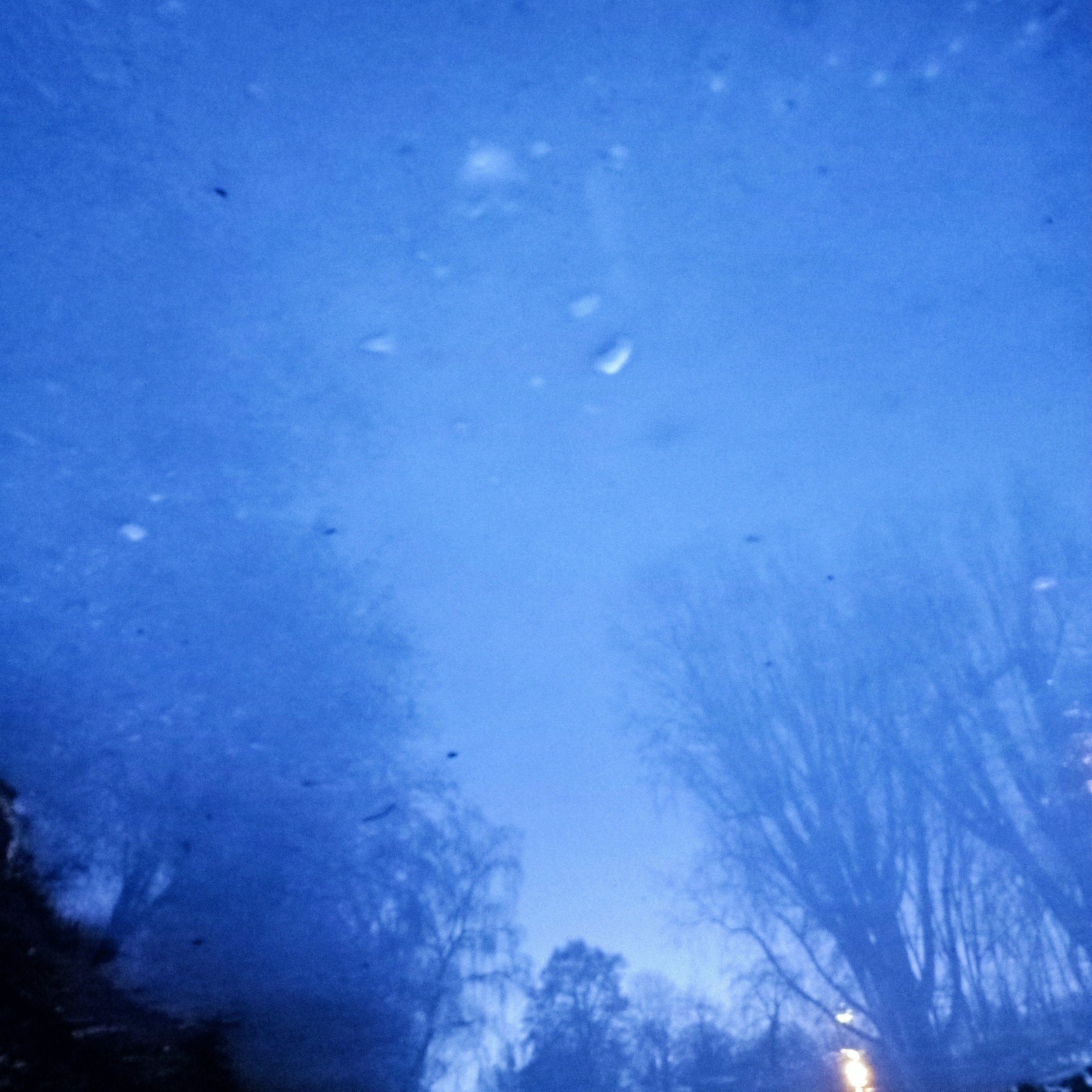 Day of frost - North Holland