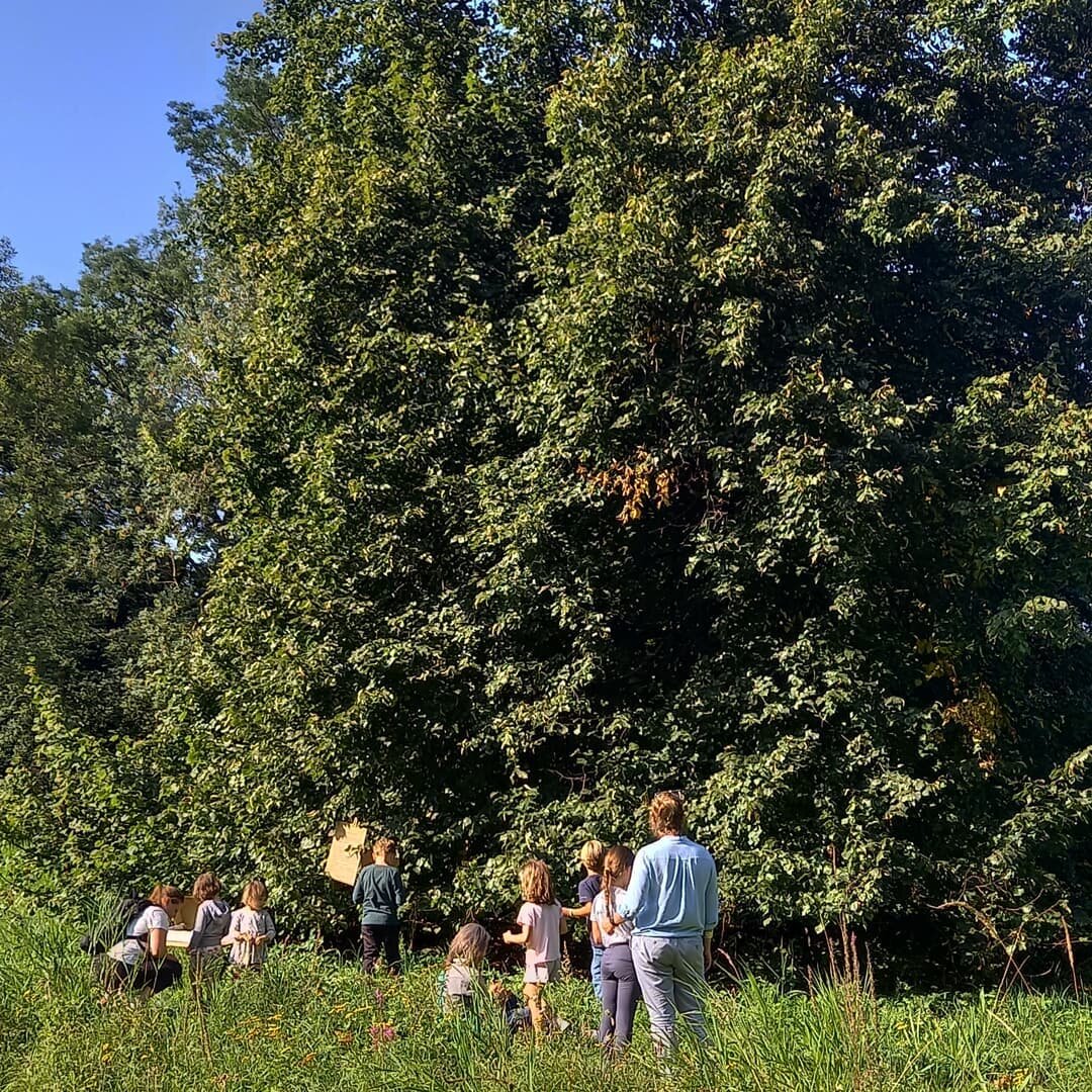 Today we celebrated the #fetedelanature of Netherlands with our beloved community of families and teachers. 🙏
We invited everyone to make a wish, a commitment for the school year to come. As @aurelia.cg our Founder says, connection with nature is li