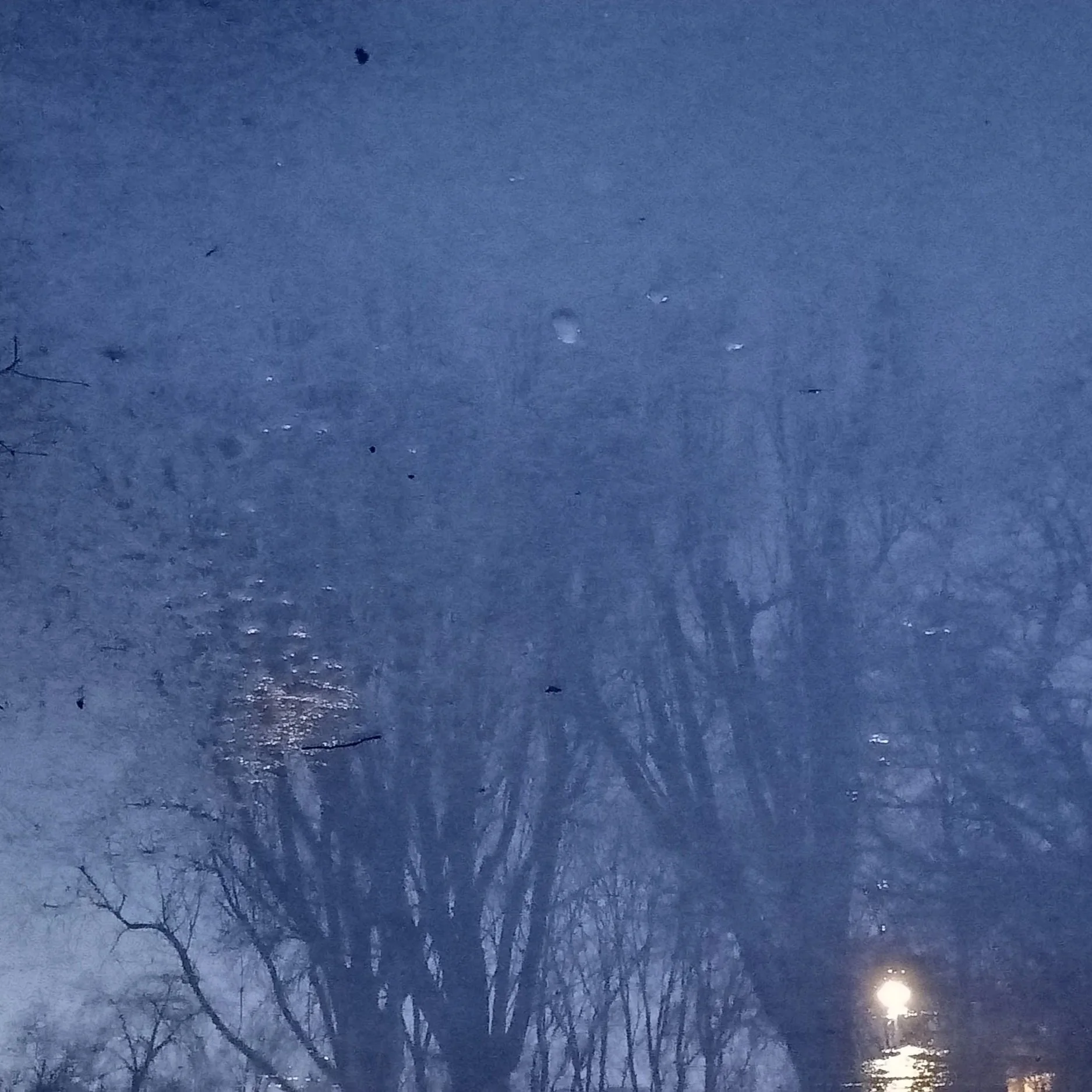 Yule: winter solstice