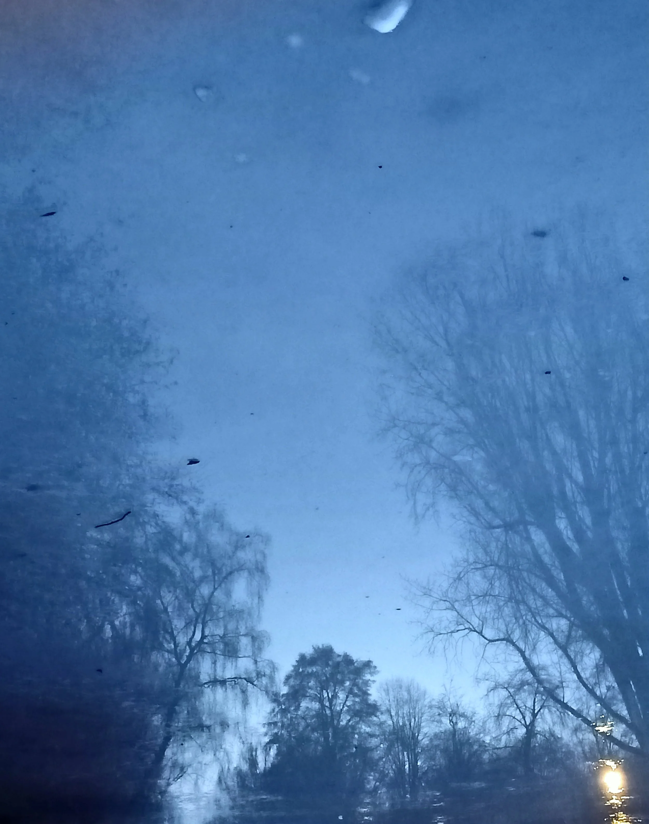 Day of frost - North Holland