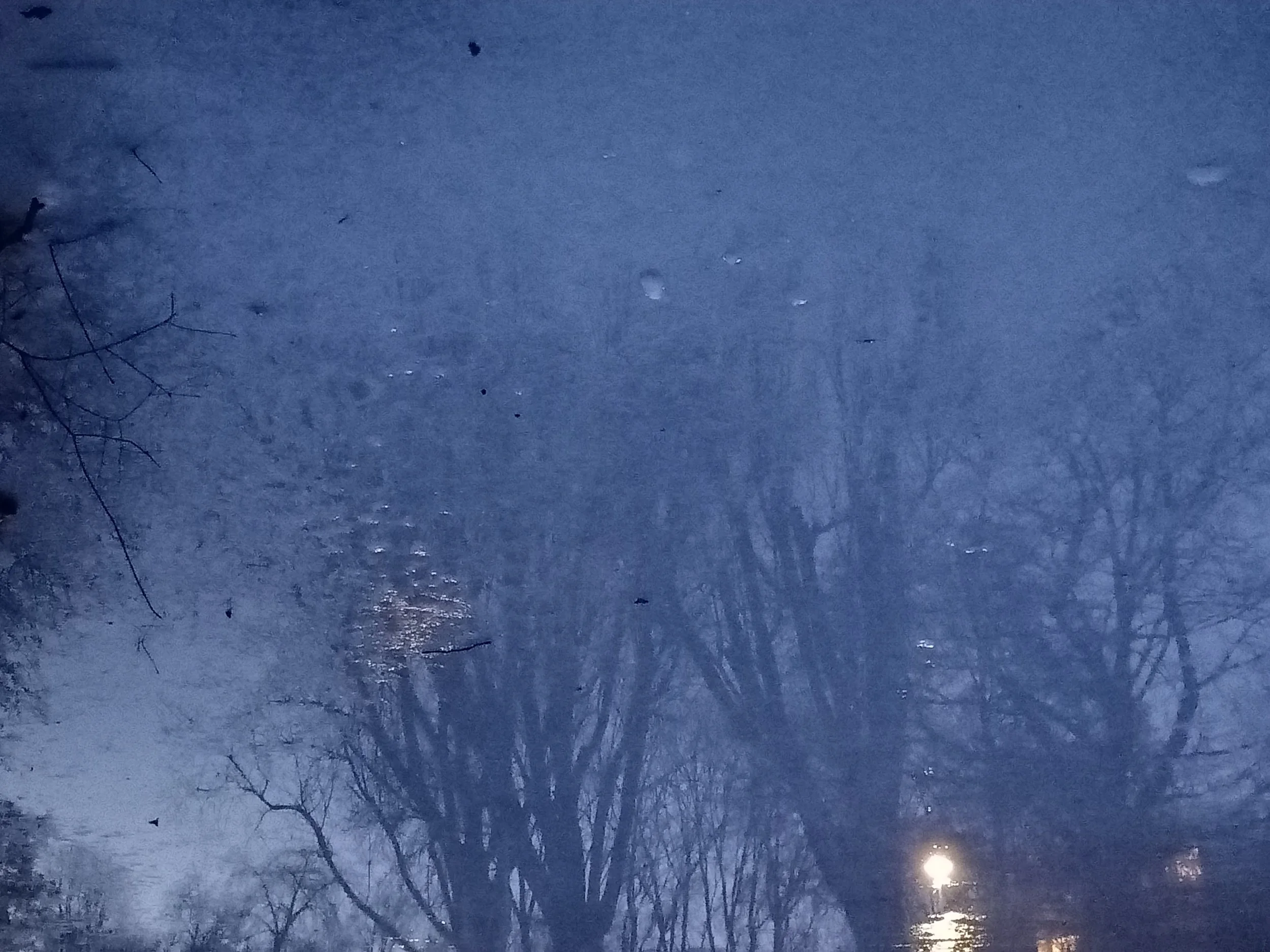 Day of frost - North Holland