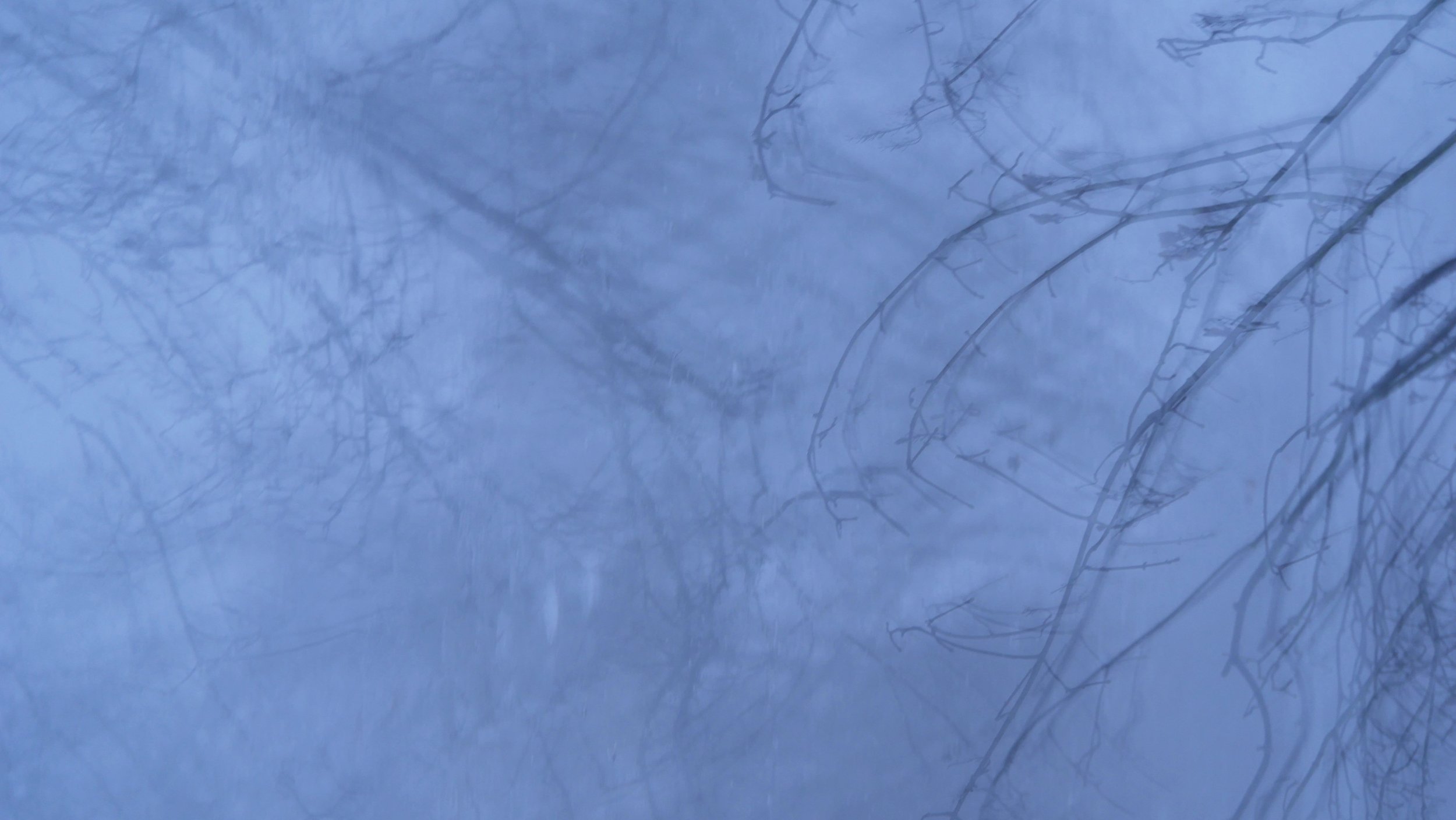 Day of frost - North Holland