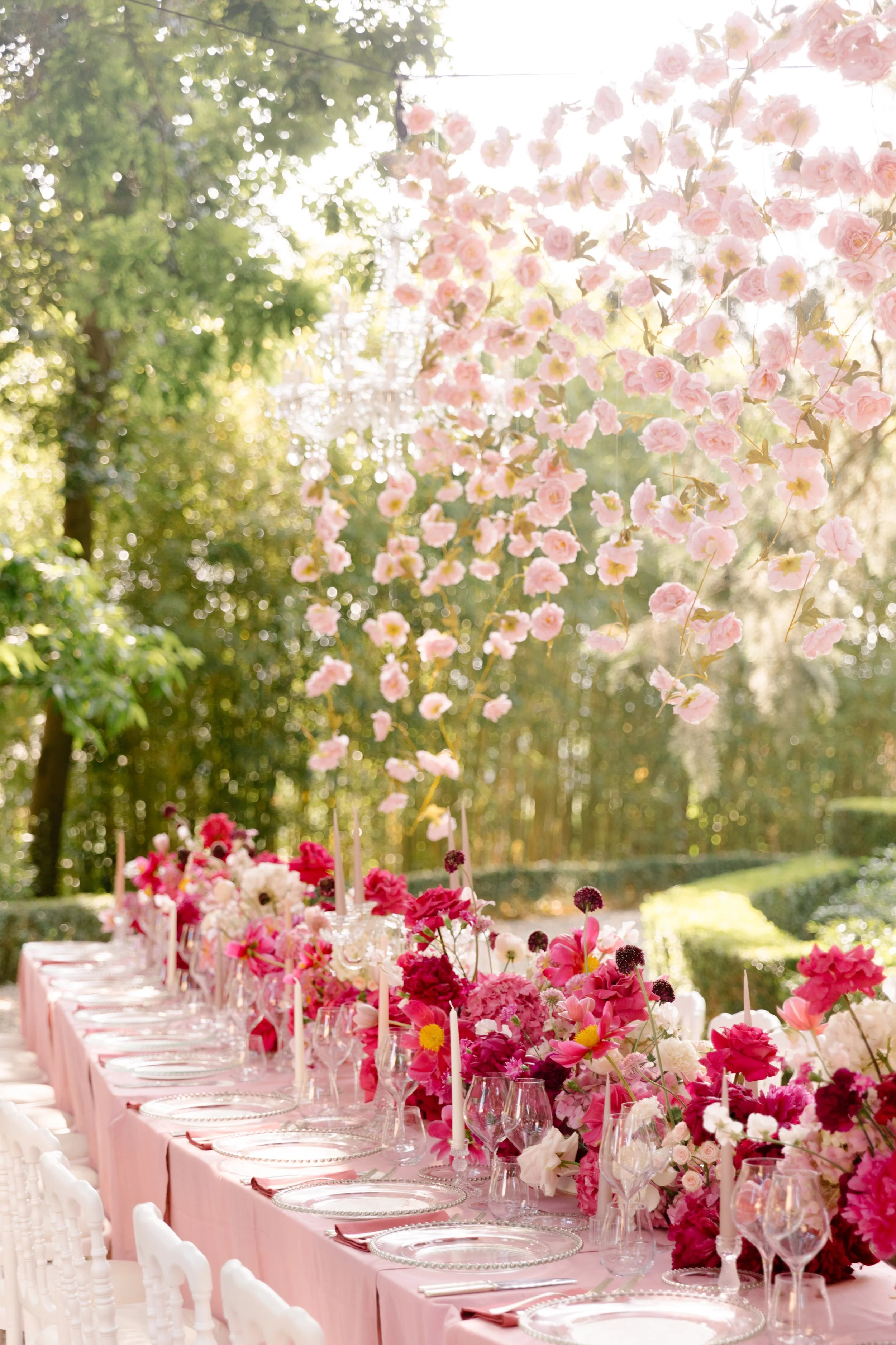 Jonathan and Oceana-1075_.jpg