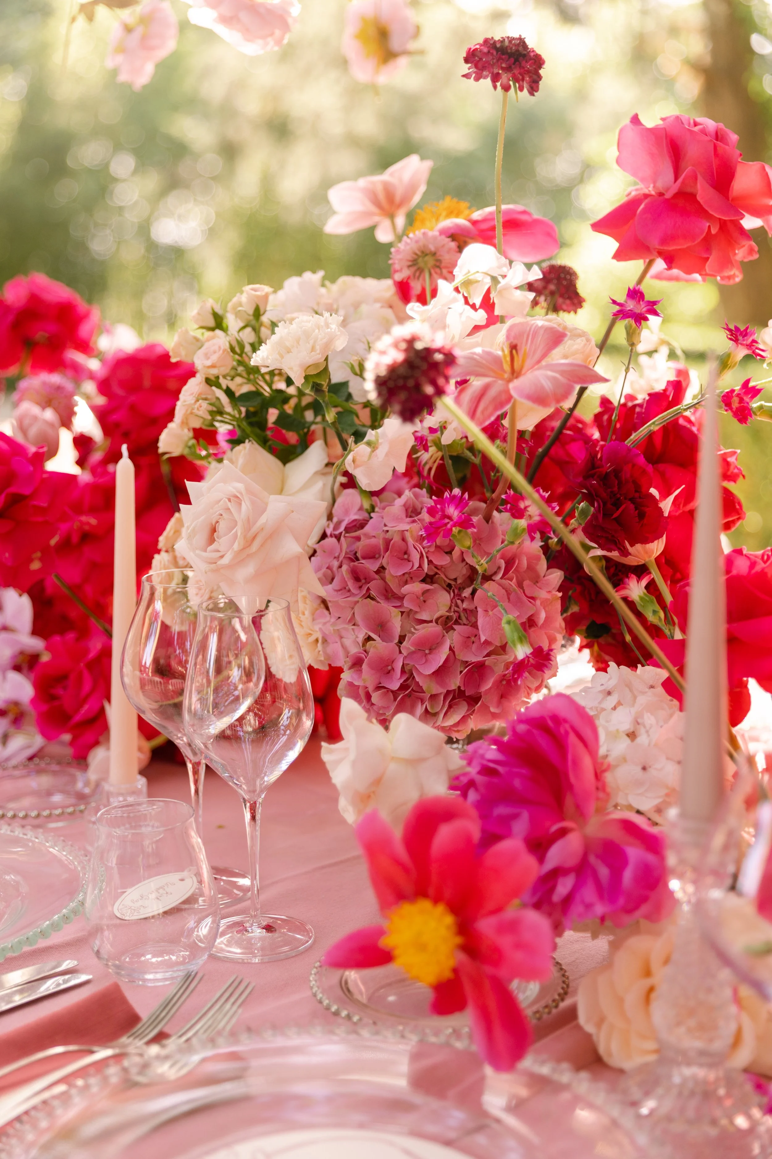 Jonathan and Oceana-1118_.jpg