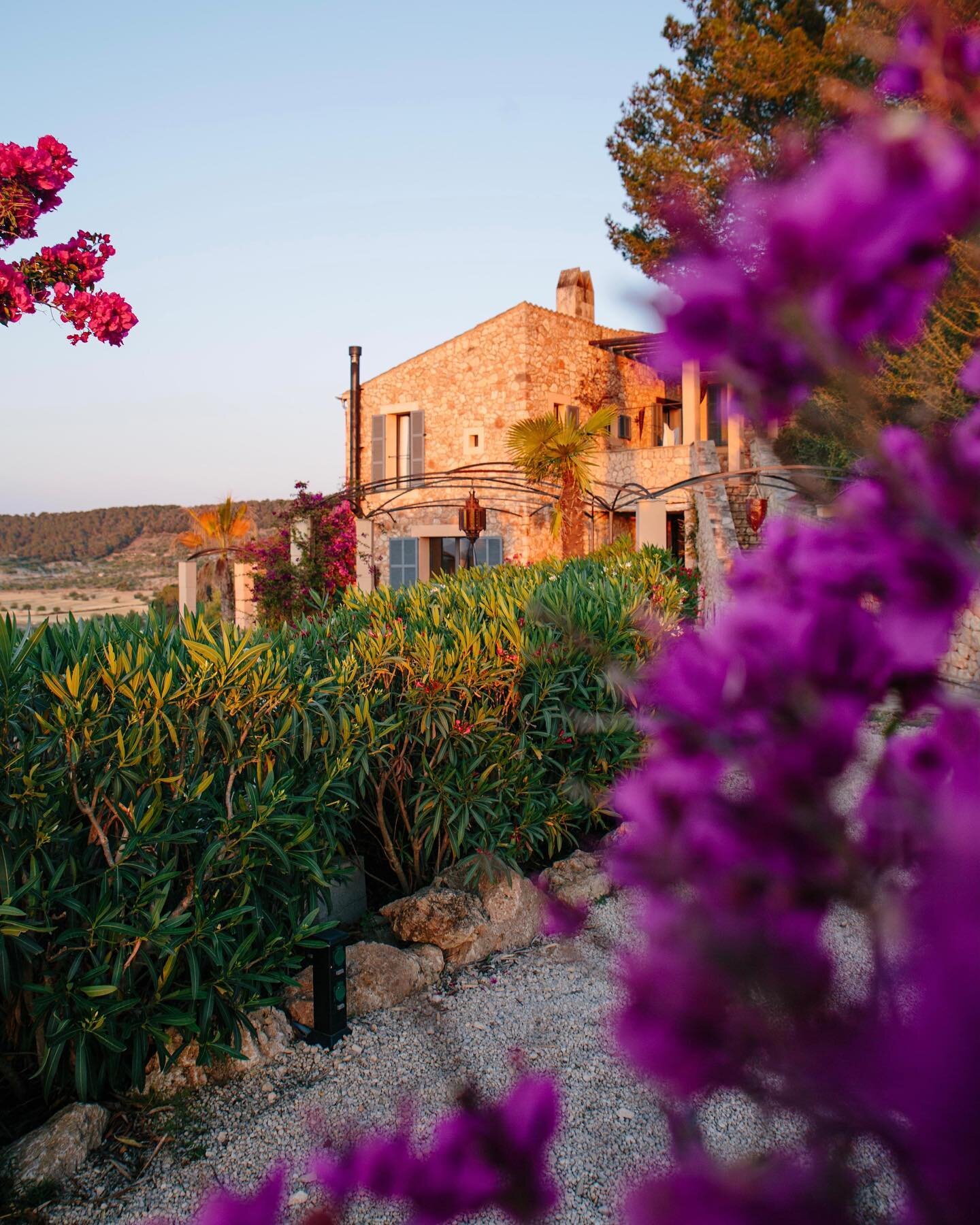 Summer at Osa 🌸🌸🌸 

📸: @marjoleinvanderklaauw 
#yogaretreats #osamajor #summerinmallorca #boutiquehotelmallorca #homestay #mallorcaholidays #yogaretreatlocation #photoshootlocationmallorca #yogaretreatsmallorca