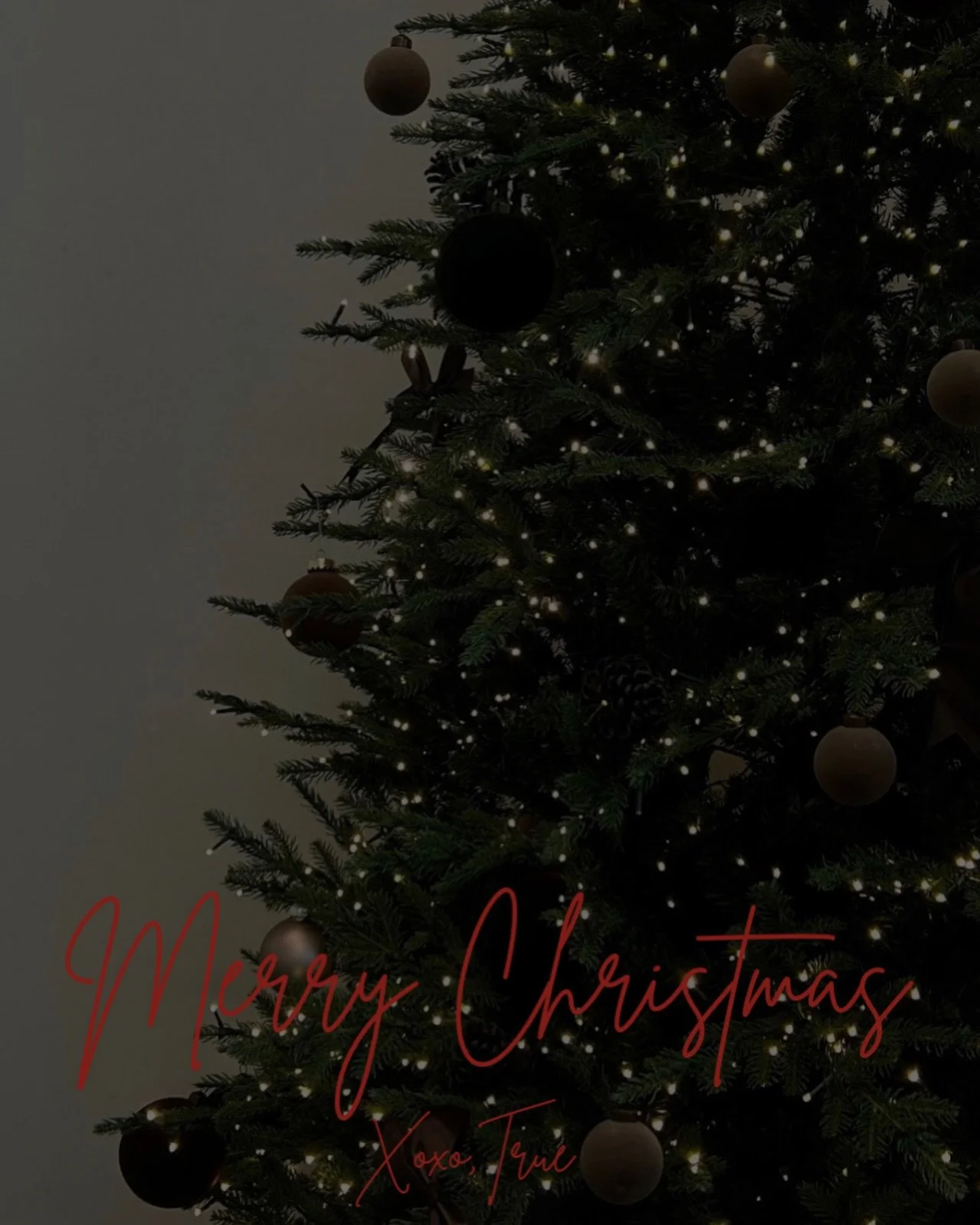 In observance of the holiday, we will be closed as our team steps away to celebrate with loved ones. We&rsquo;ll welcome you back Saturday, December 27th. Warmest holiday wishes from all of us at TRUE.