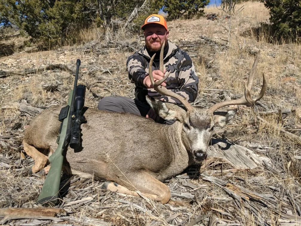 Episode 331 - Industry Art