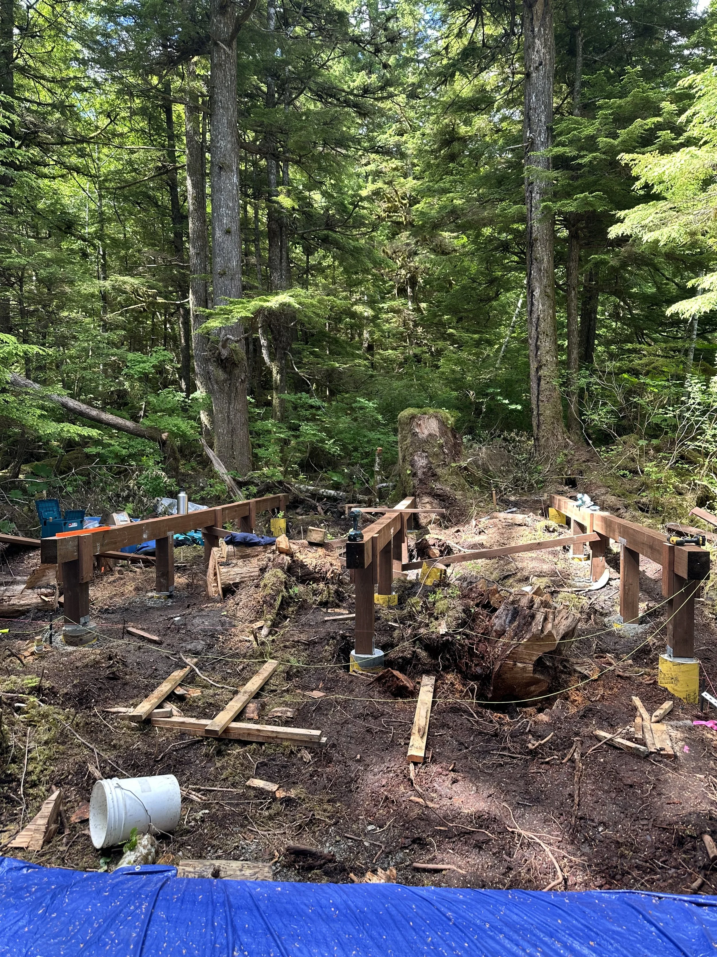 Episode 506 - Why build a remote cabin? 
