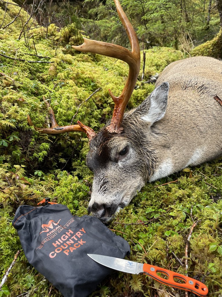 To move or not to move