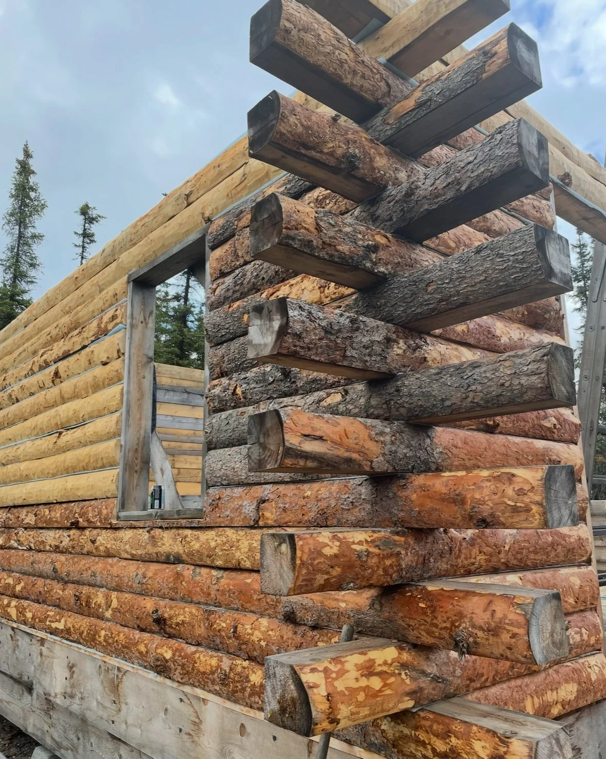 Episode 457 - Dry cabins, public land and parenting in Alaska