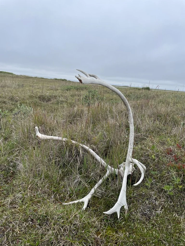 Episode 332 - Tell stories, don’t make content