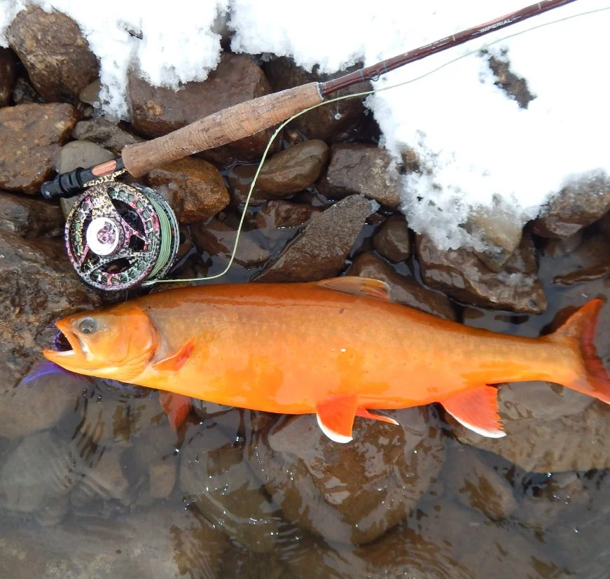 Episode 472 - Char, dollies and contamination