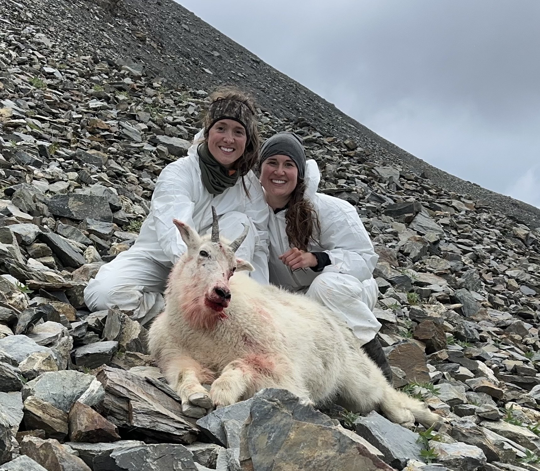 Episode 387 - Fly-in mountain goat