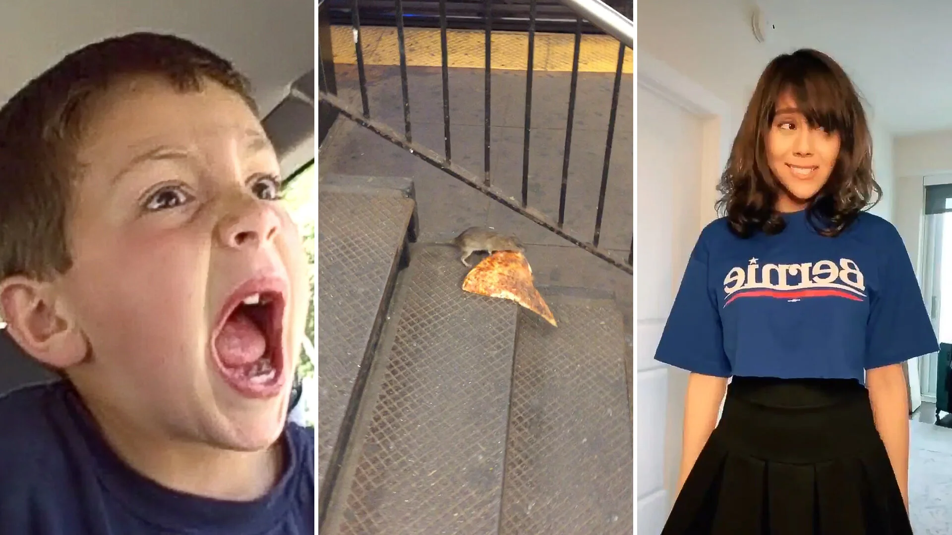 OK Boomer, Pizza Rat Viral Online Videos To Join The NFT Boom