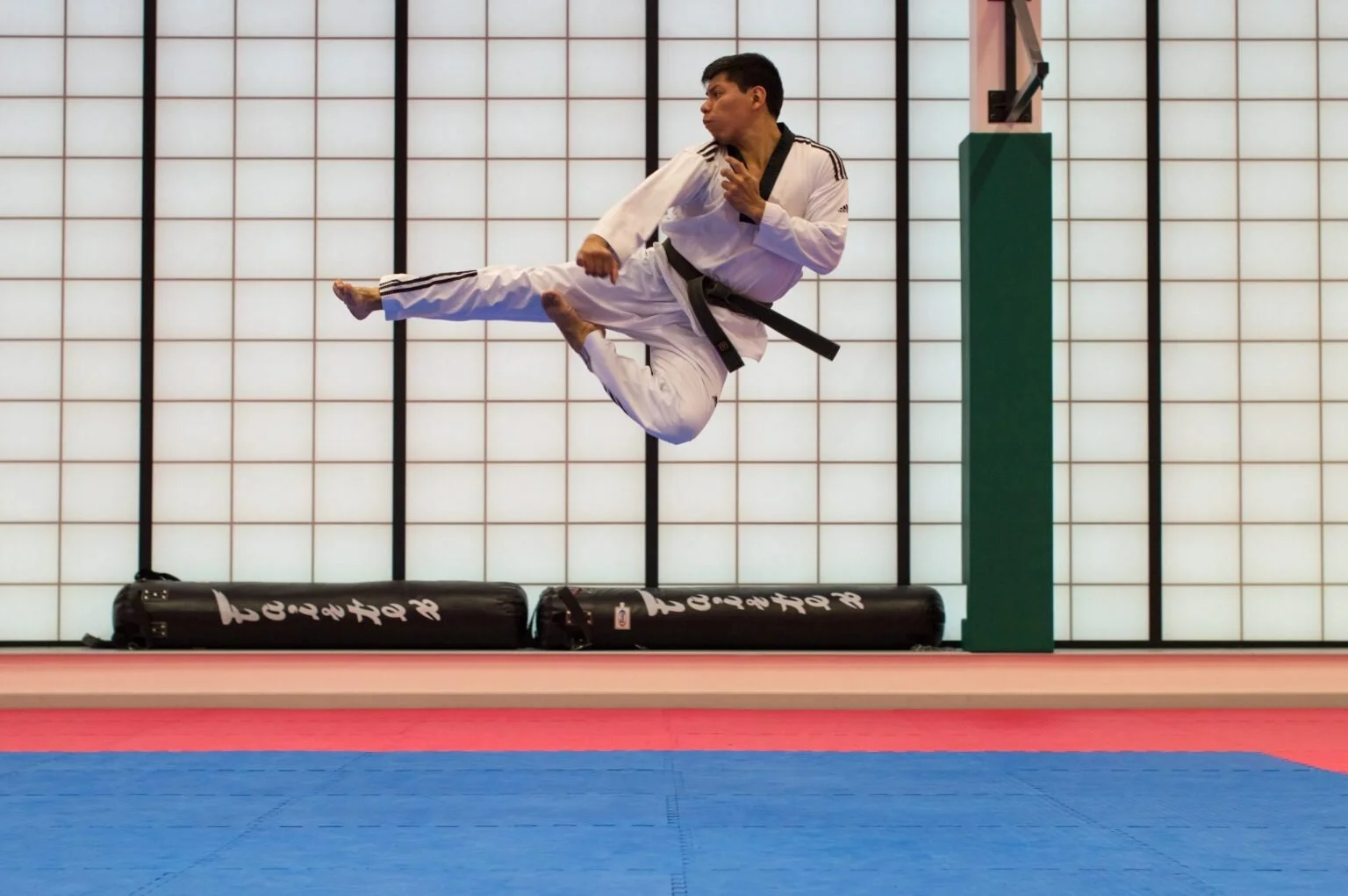Canvs Emotion Analysis: Cobra Kai Makes Waves in its New Netflix Home