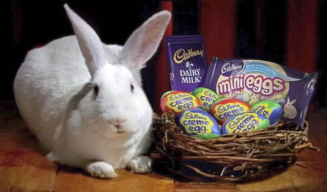   Why Is Cadbury STILL Airing Their Creme Egg Spots 40+ Years On?  - Sal Tuzzeo 