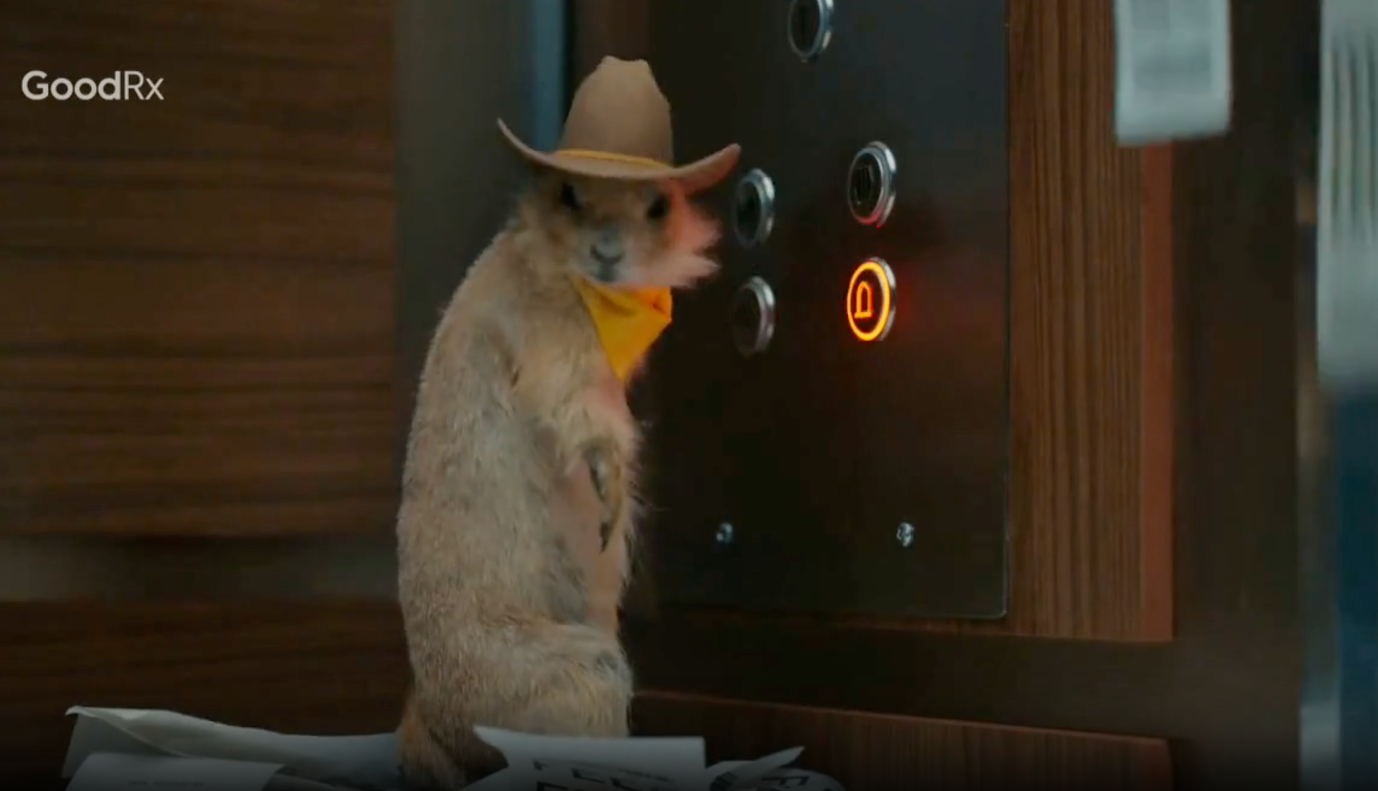   GLP-1 Advertisers Trying Creative Flair  - Scout Jacobs 