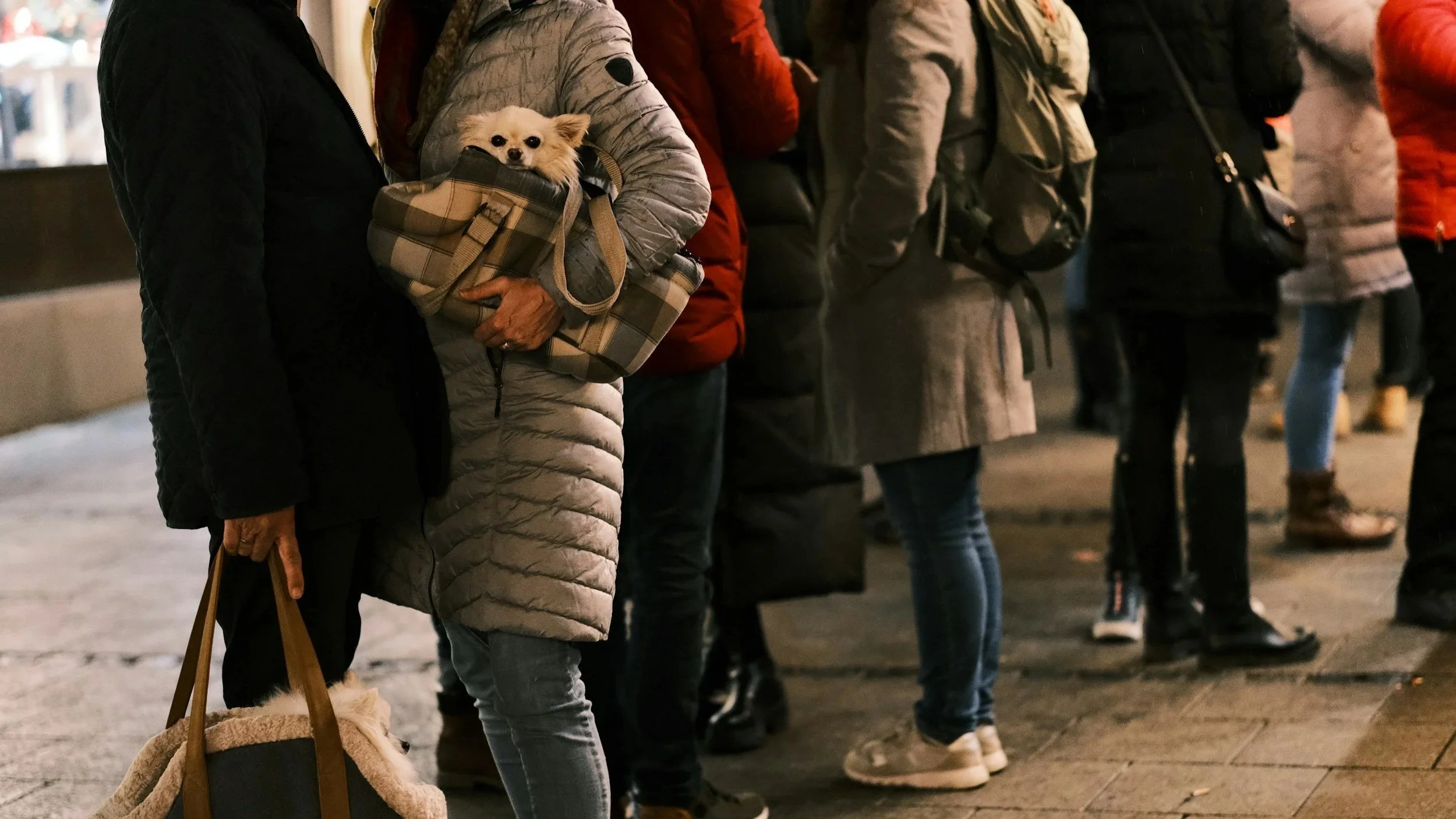 Beyond Scale: Media Value Comes From Understanding Why People Show Up