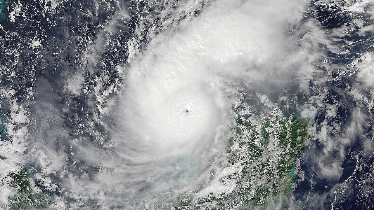   Multiple Weather Channel Programs Make Most-Watched TV Ranking  -  Eleanor Semeraro  