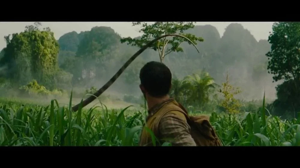   Universal Pictures Roars To Top Of NBA Finals Advertiser List  - John Cassillo 