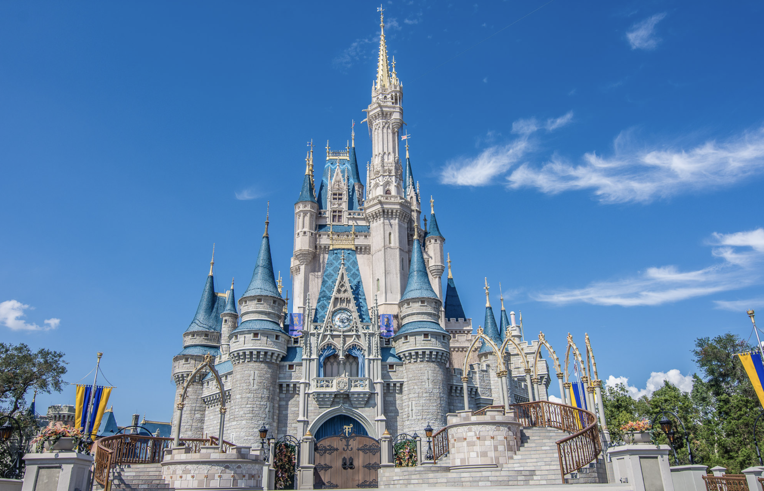 Disney Magic Castle