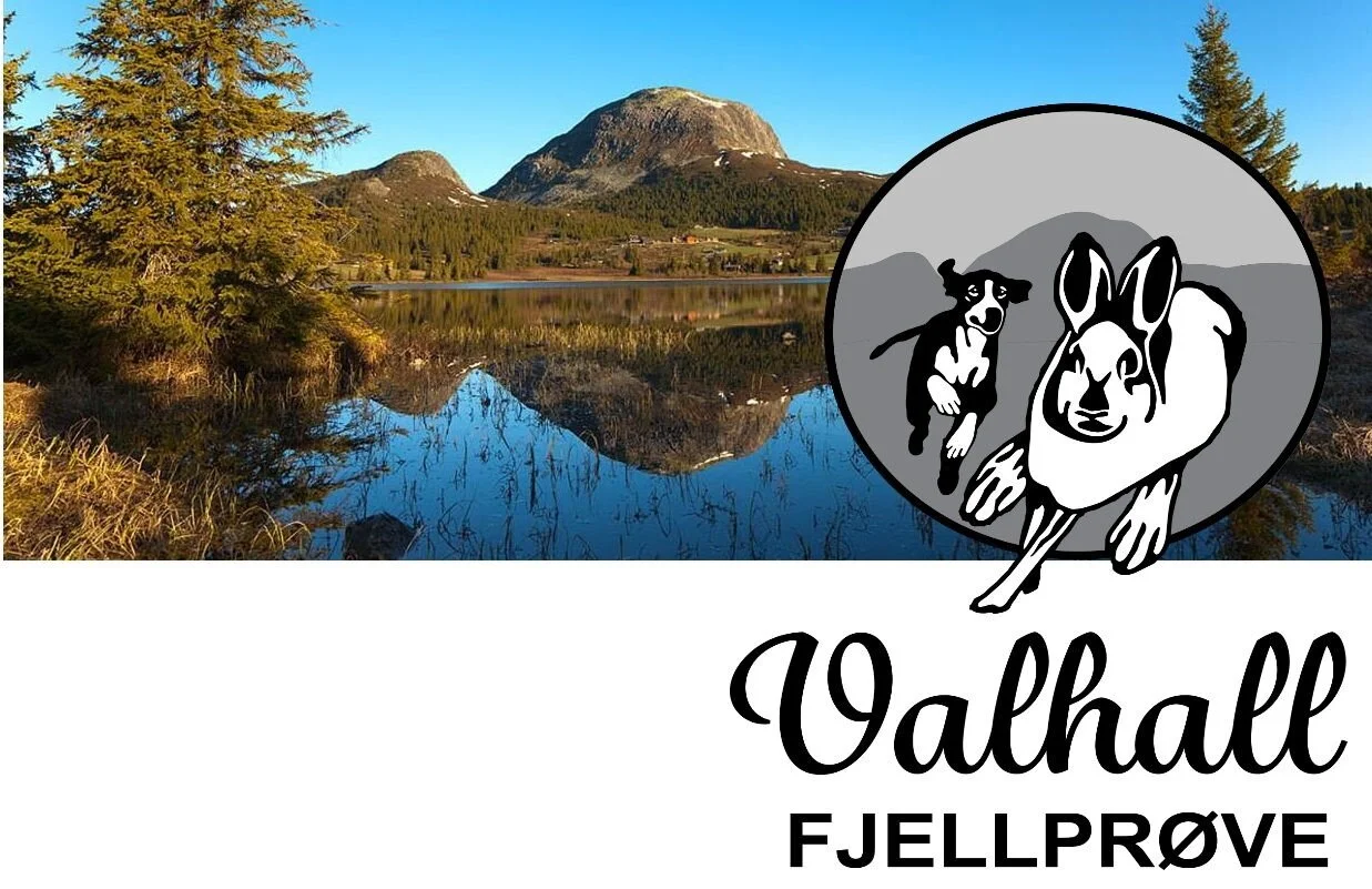 Valhall.jpg