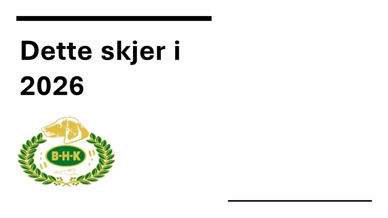 Planlagte aktiviteter i BHK i 2026.