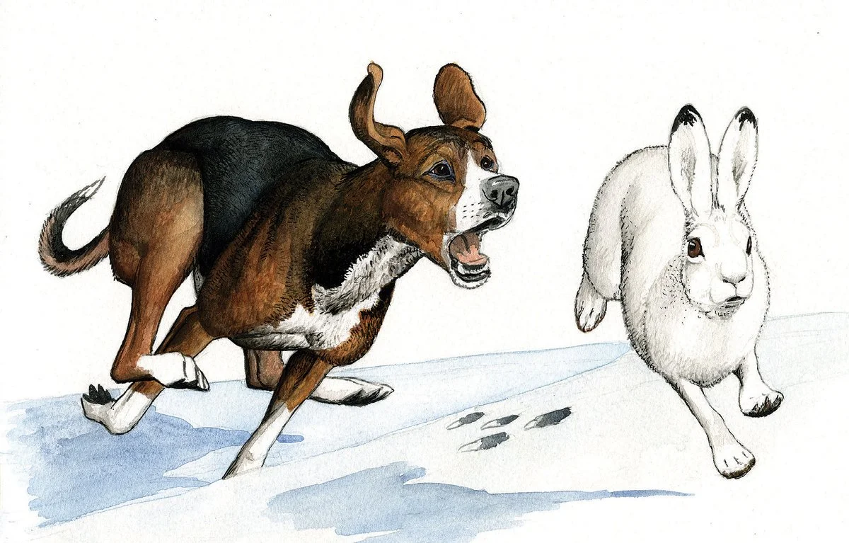 PREMIELISTE ÅP og RR høst 2025