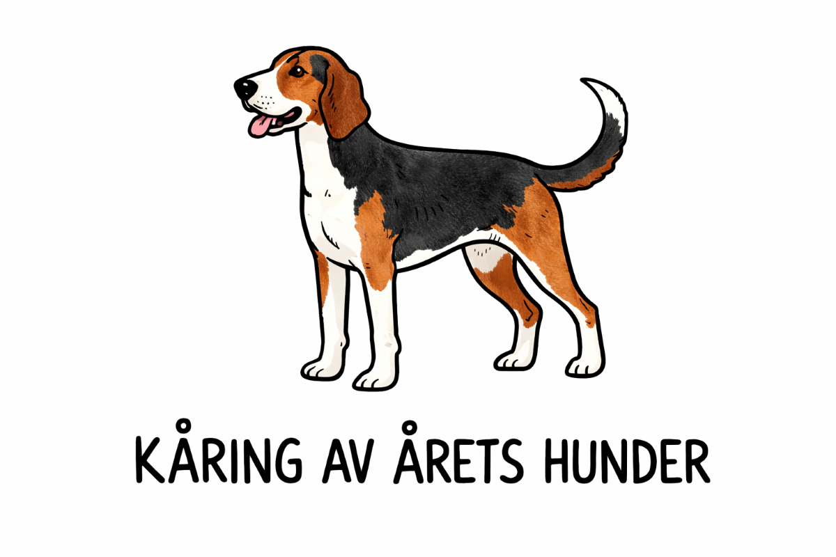KÅRING ÅRETS HUNDER