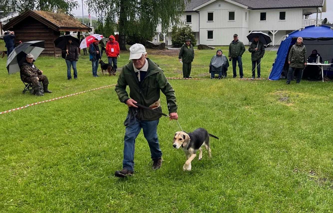 Hokksund utstillingen 2026 