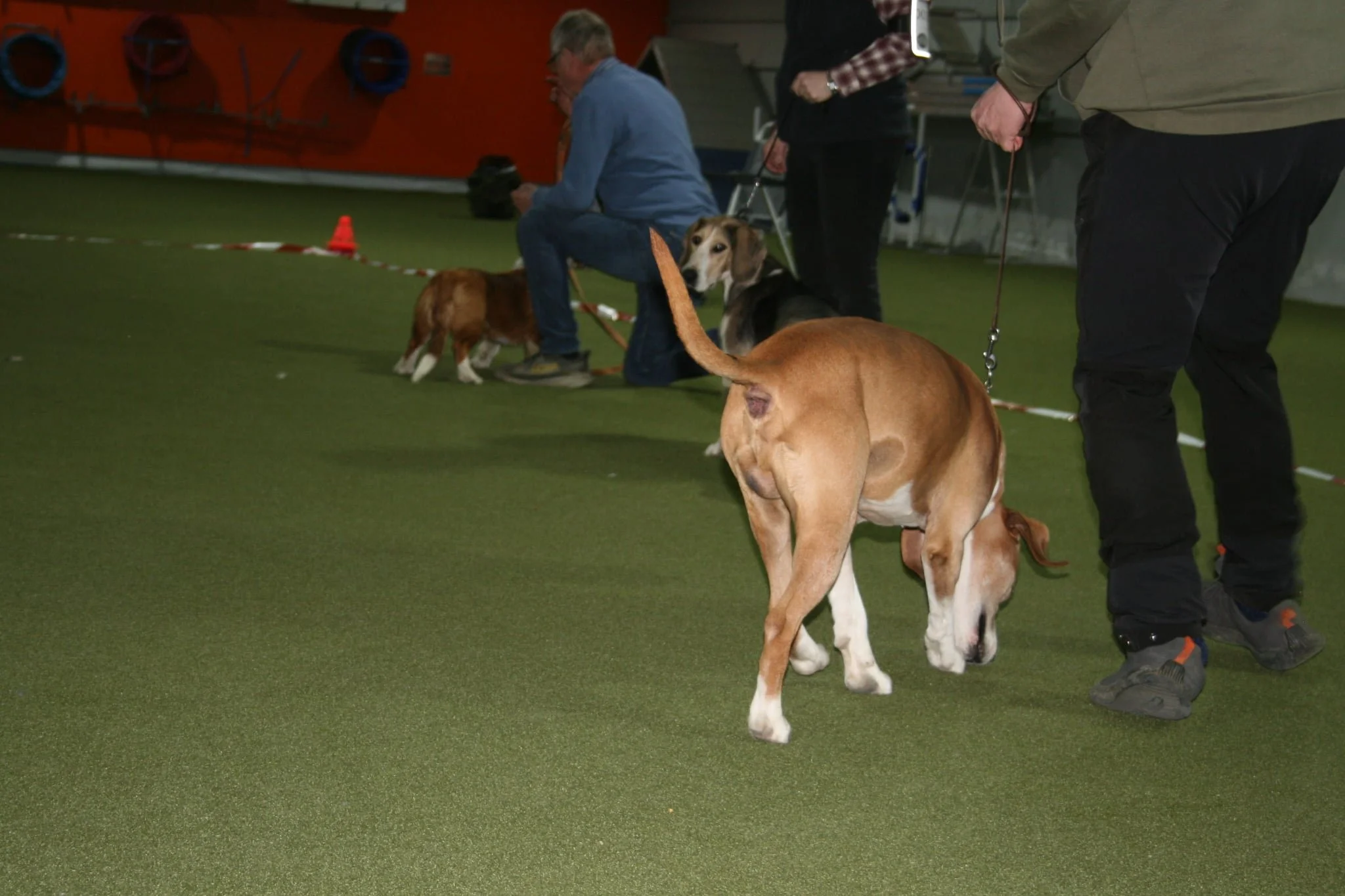 6ef09927-528e-40cf-944f-329bca23e9ef (1).jpg