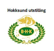 Premier Hokksund utstillingen