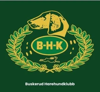 Informasjon Hokksund utstillingen 31/5