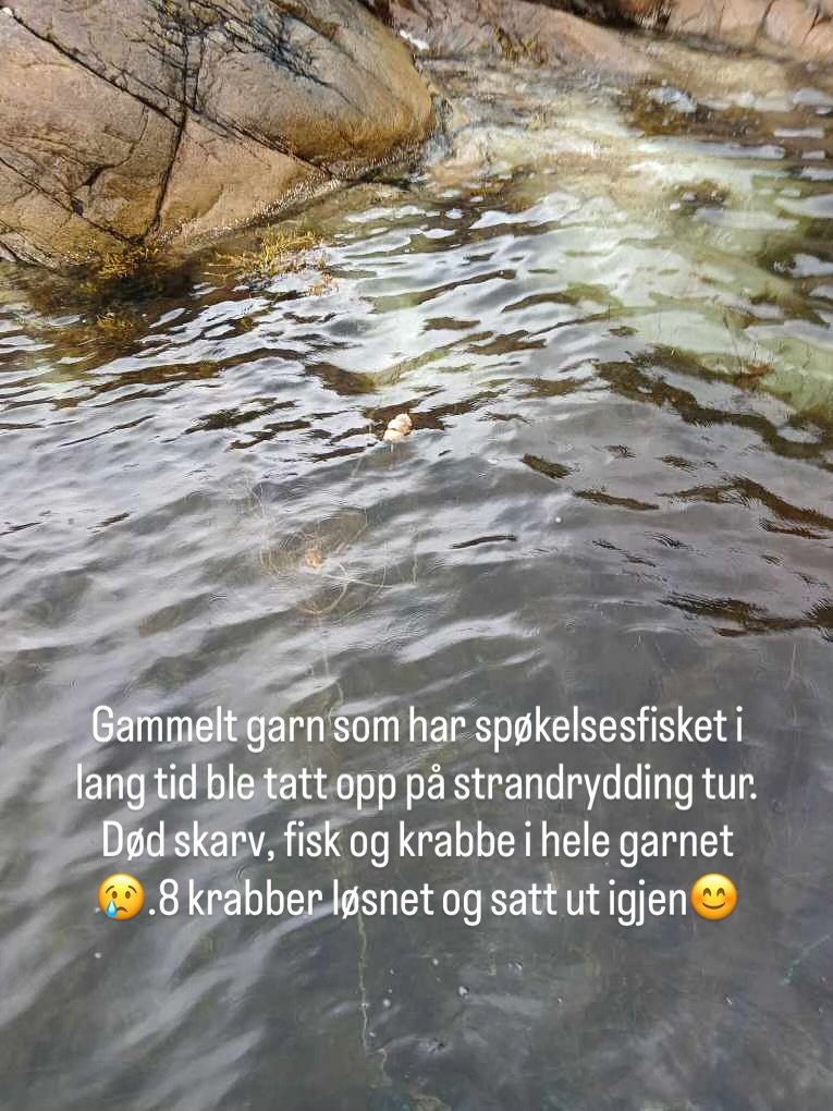 Litt ulike jobber denne uken også😊
Strand rydding @rydd_i_tide @rydditide @handelensmiljofond #rydditide😊
Samt ile og sjøtransport oppdrag😊