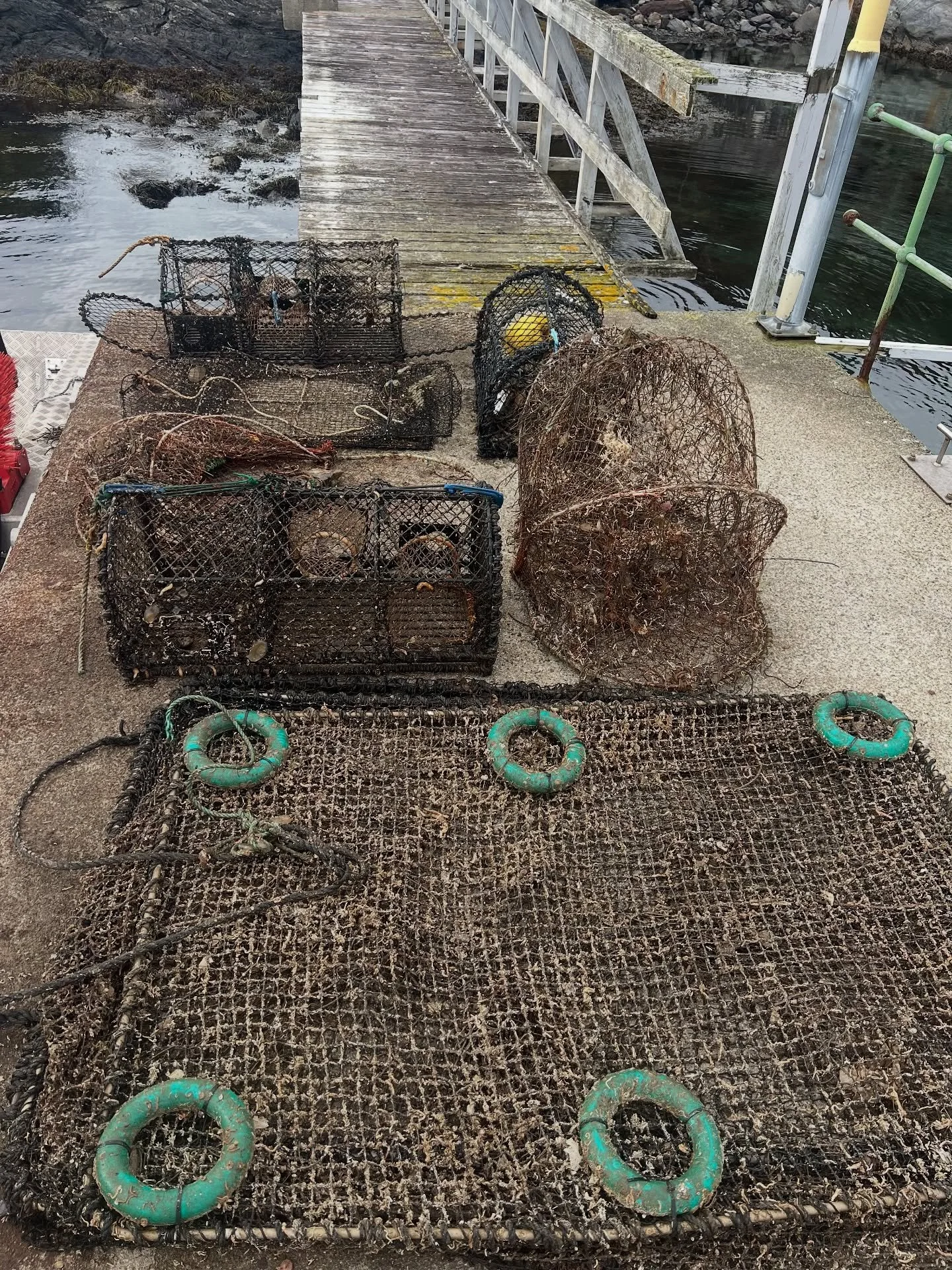 Da har vi endelig kommet så smått i gang med #spøkelsesfiske🥳 Behovet er enormt, men 20 stk teiner/ garn mindre i havet nå etter 2 prøvedager😊
@onarheimocean er samarbeidspartner også her🥳
Sitter du med inform