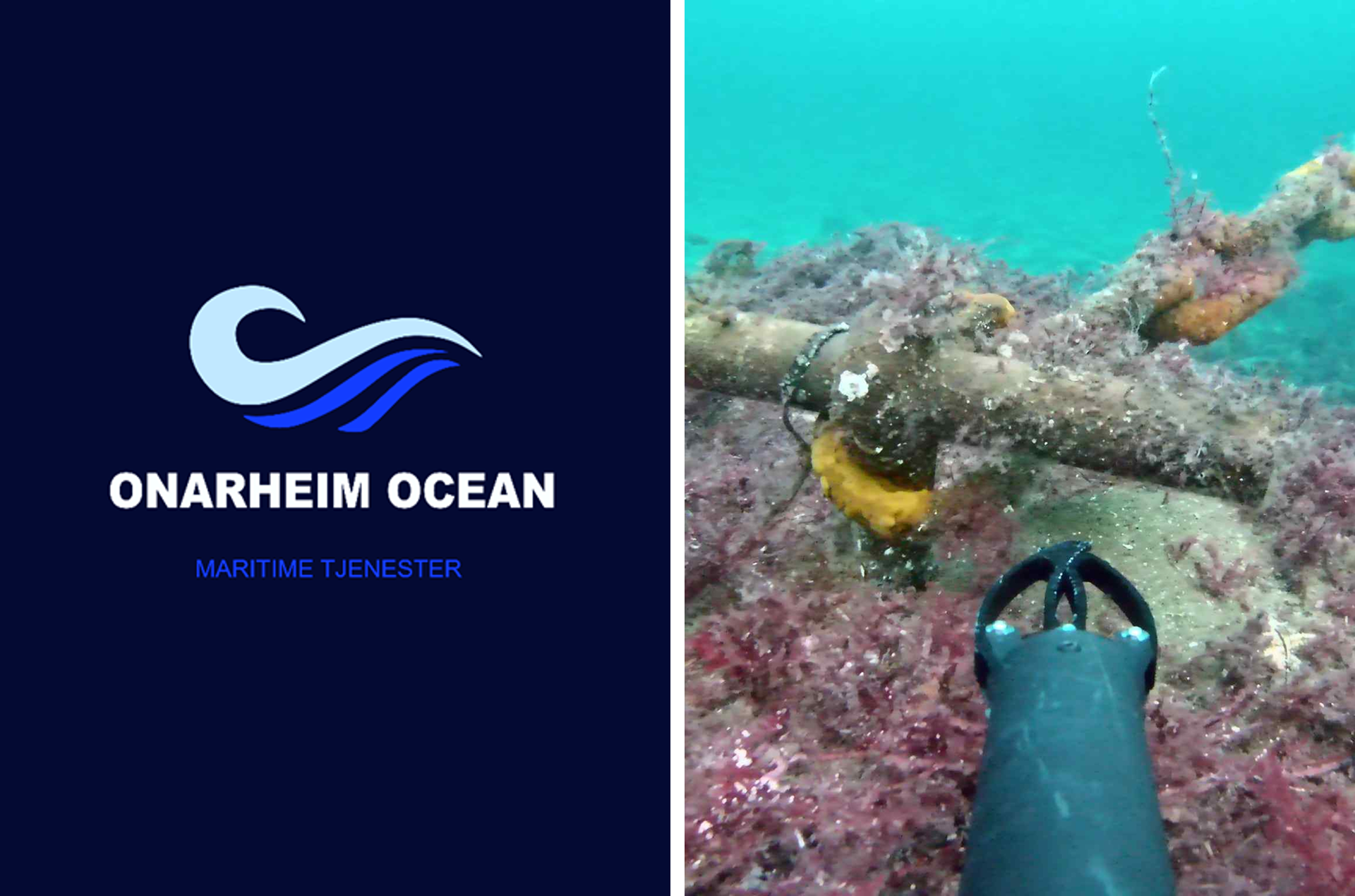 Logoen til samarbeidspartnar Onarheim Ocean og eit bilete frå under vatn, teke med ROV-kamera.