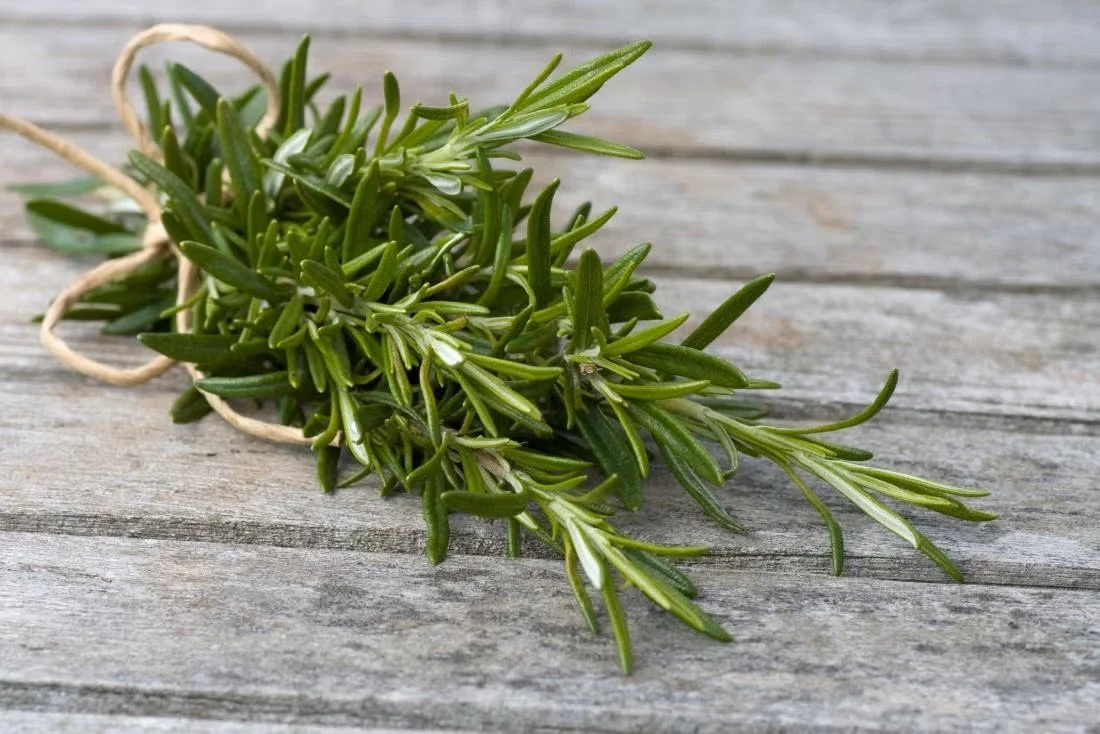 Forgotten Festivals Remembered: Mary and Rosemary