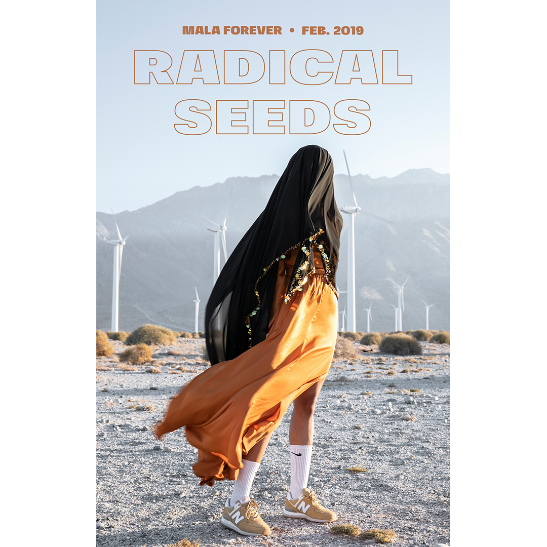 "Radical Seeds" Poster (11 x 17")