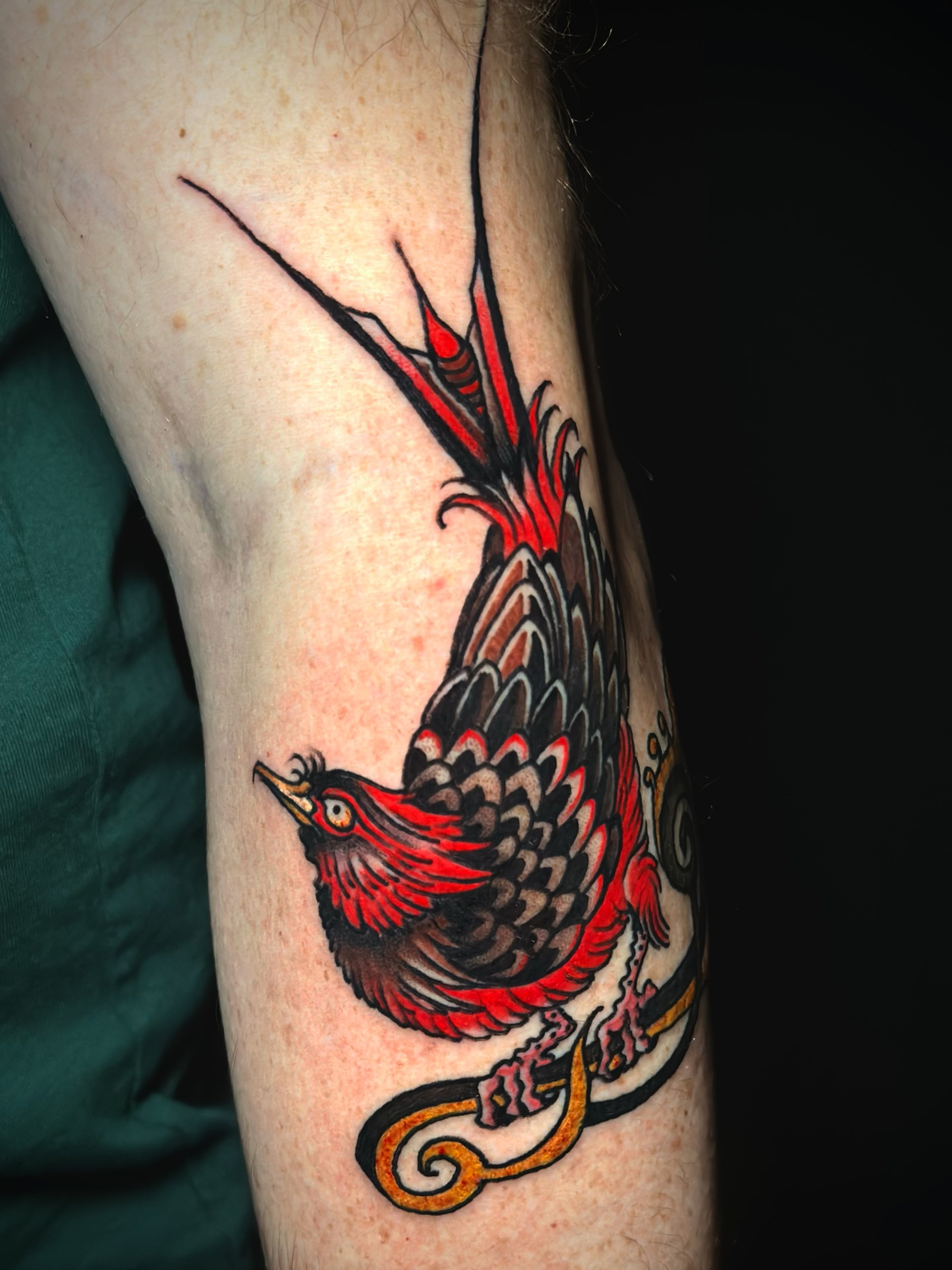 Pretty bird from my book 
@tattoosmilepdx