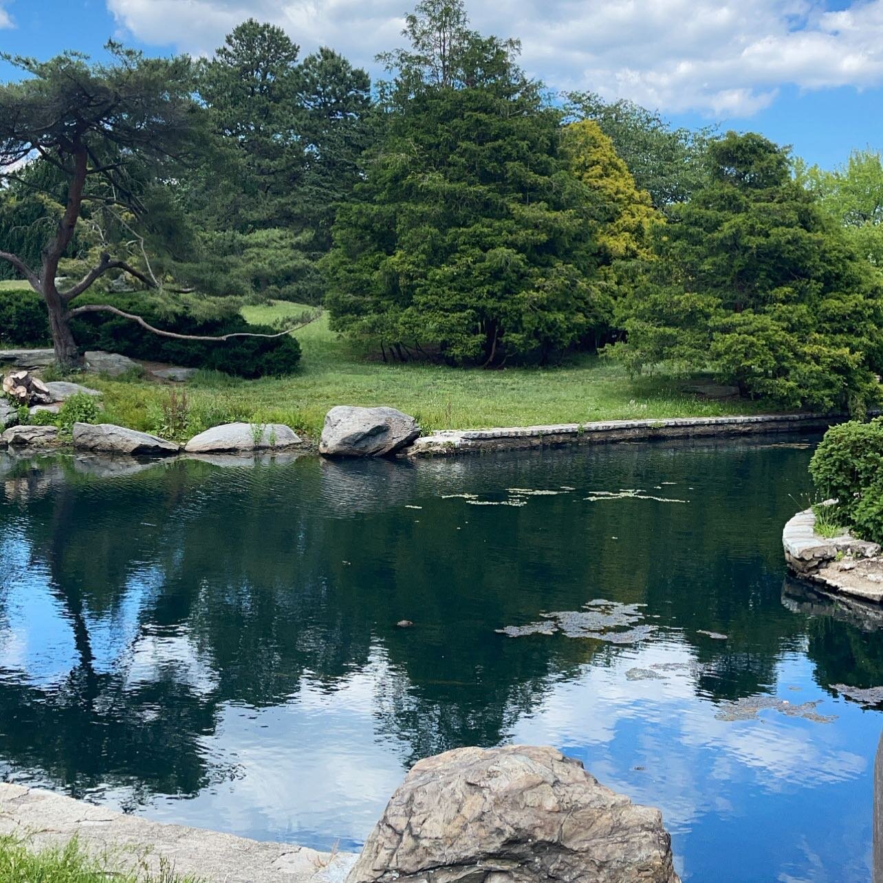 Have you seen our latest blogpost yet?
If you haven&rsquo;t done so already, head over to our website to check it out! It&rsquo;s got something to do with outdoors and romance.🪴🌤😍🗓

#datemeplease #daydateplanning #adventuredates #romanticdates #n
