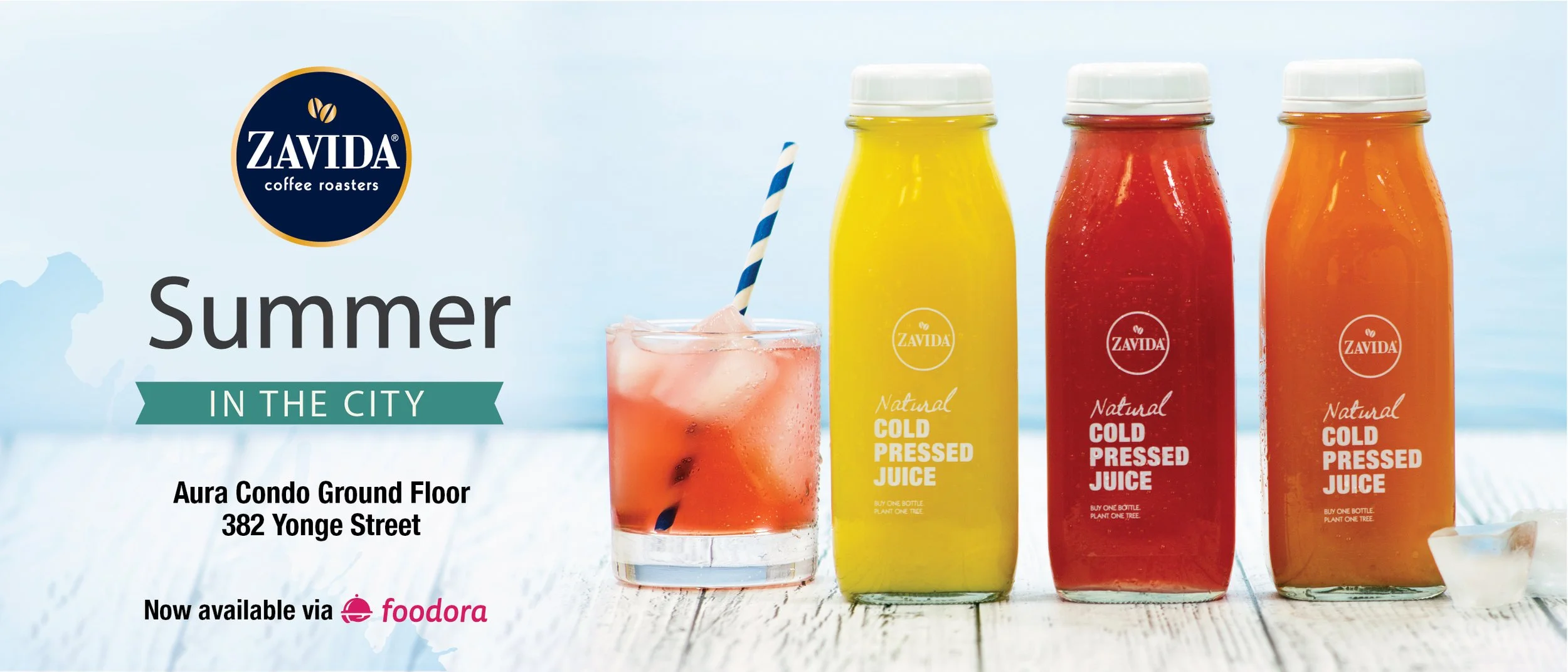 Mailer Coupons_Summer2016-01.jpg