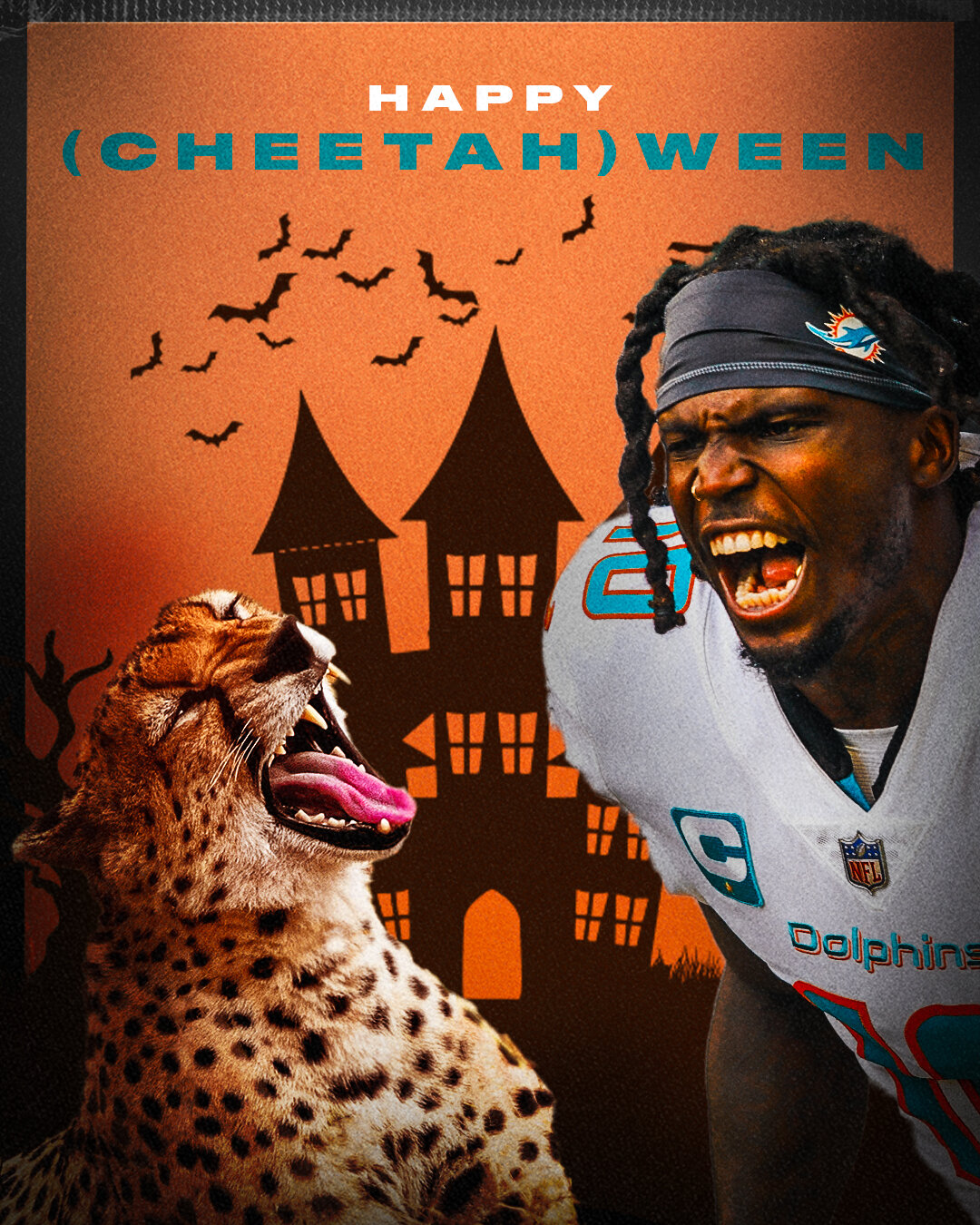 Happy Cheetah-ween! 🐆🎃

What's everyone's costume? 

#HappyHalloween