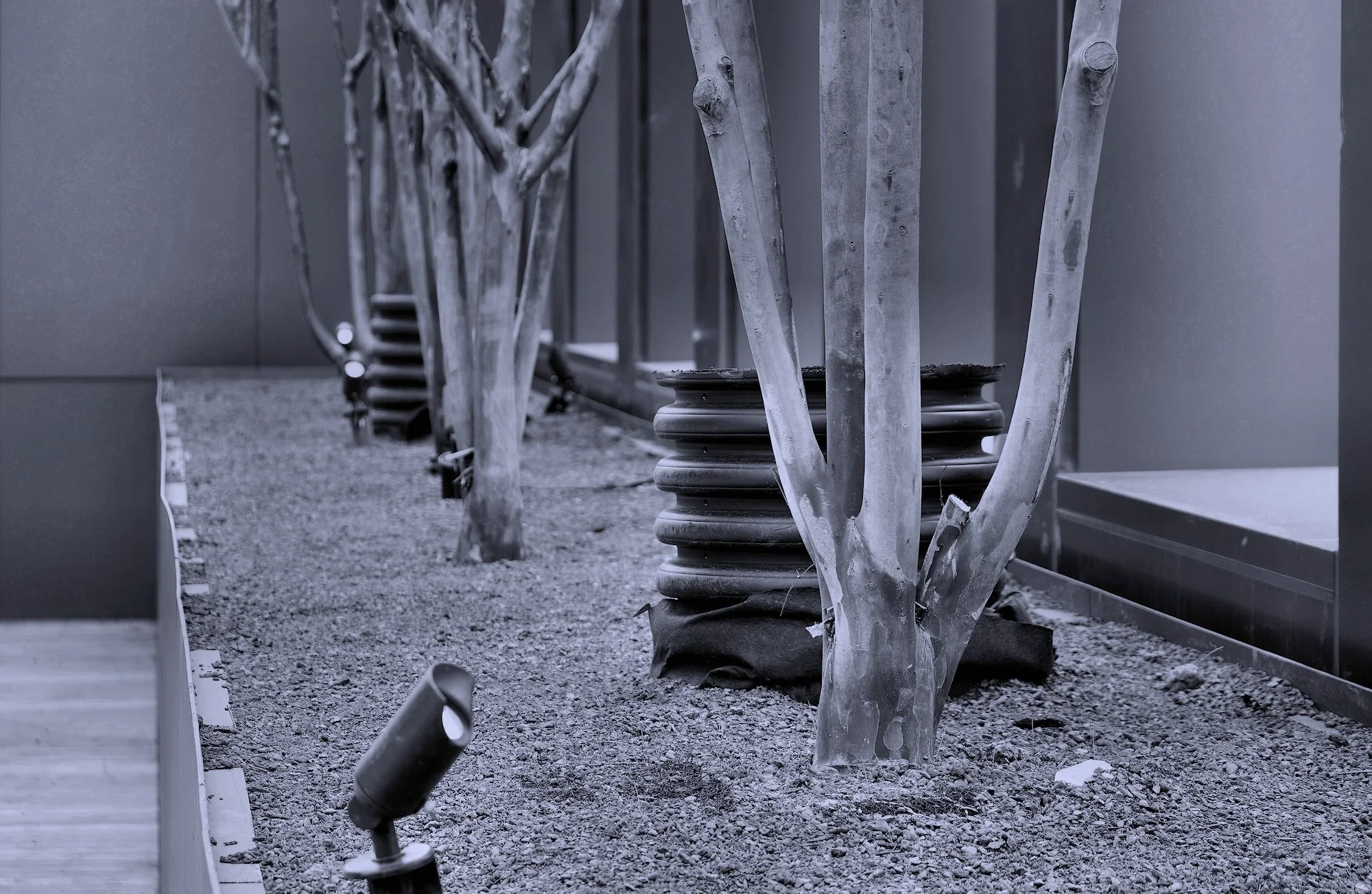 Construction Trees Planters Landscaping